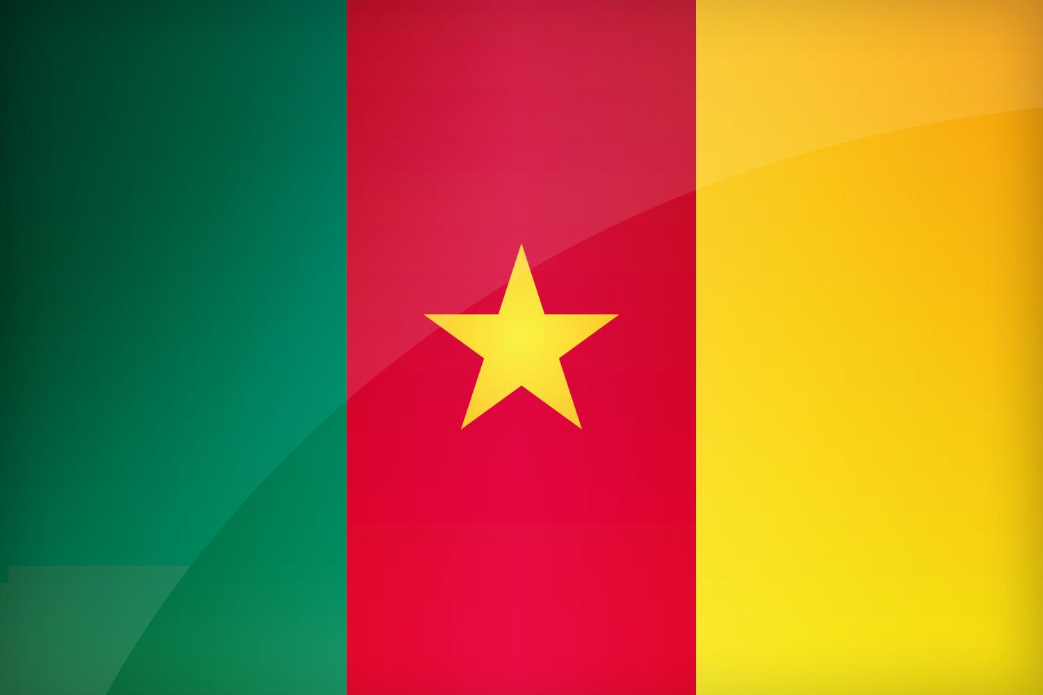 Flag of Cameroon. Find the best design for Cameroonian Flag