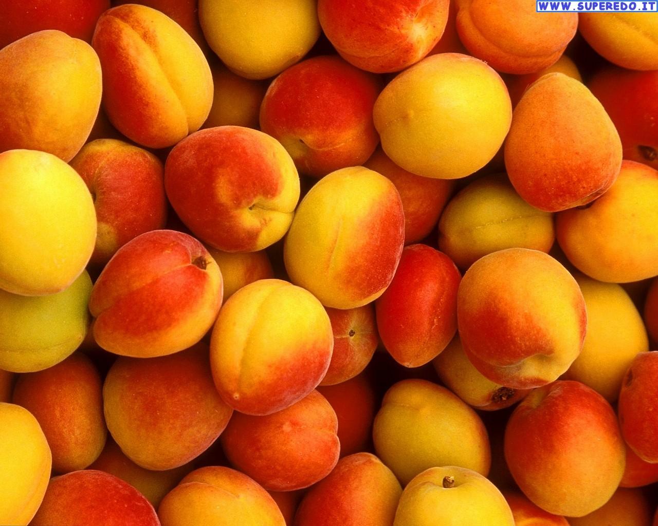Peaches Wallpaper • HD Wallpaper