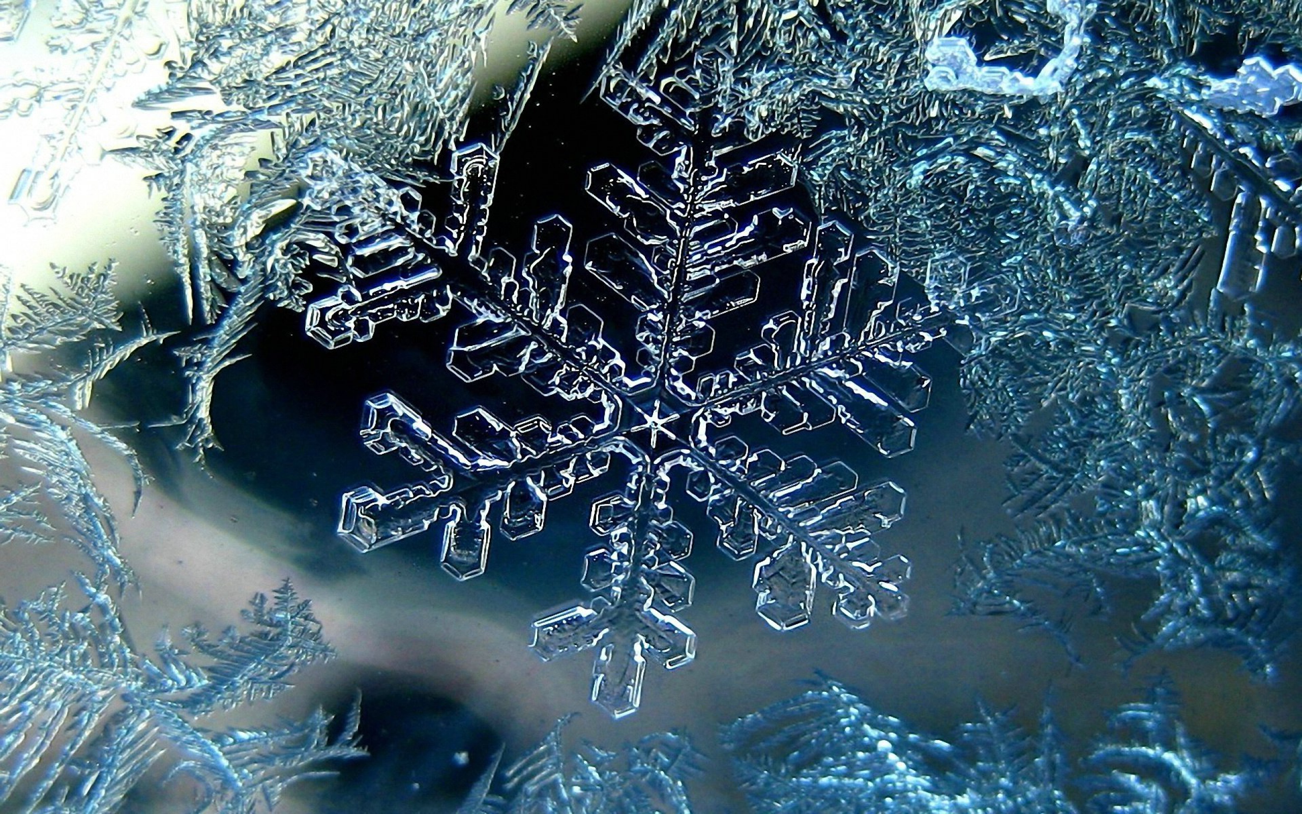 Snowflake Ice Structure Micro Winter HD Wallpaper