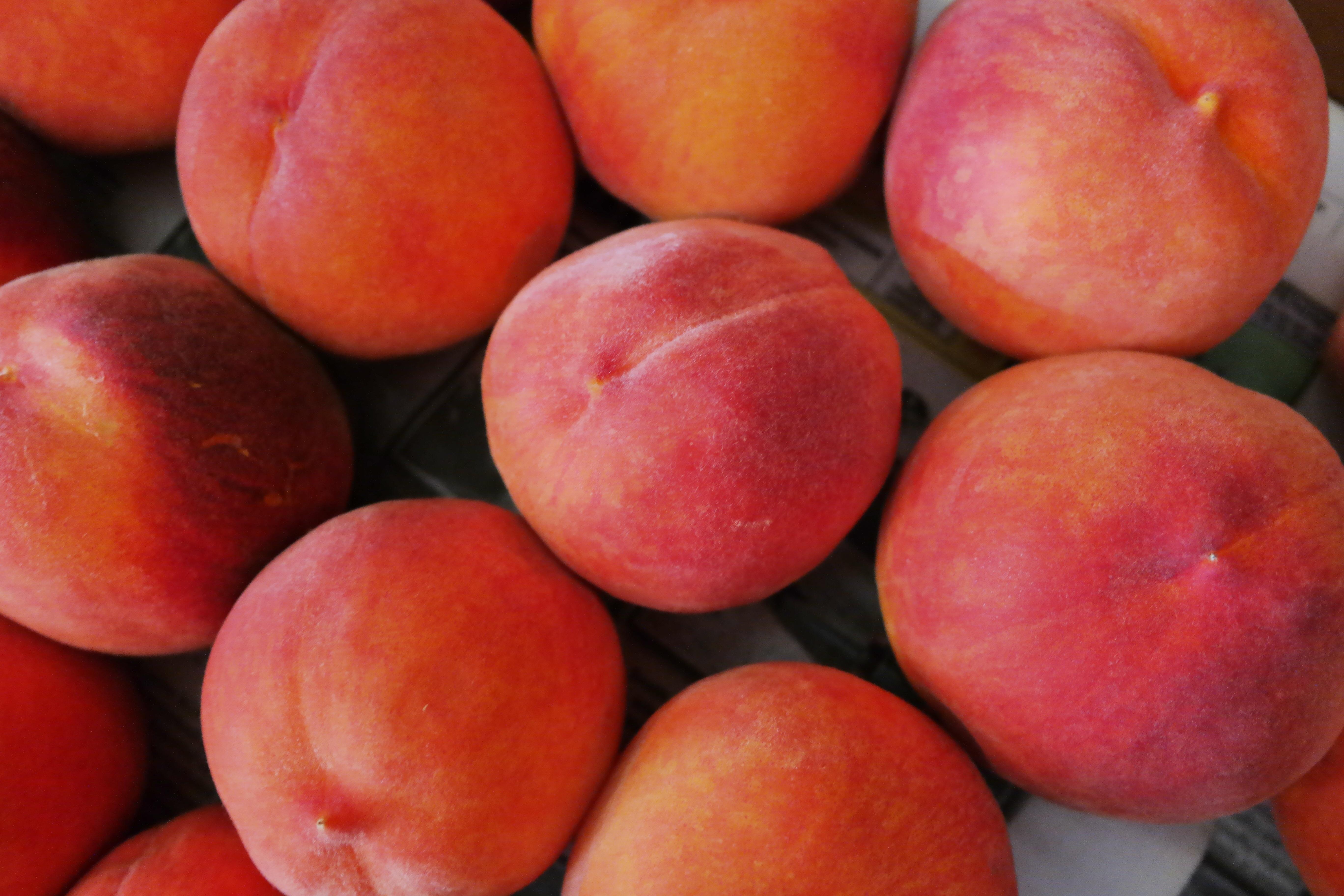 Download wallpaper 5472x3648 peaches, fruit, ripe HD background