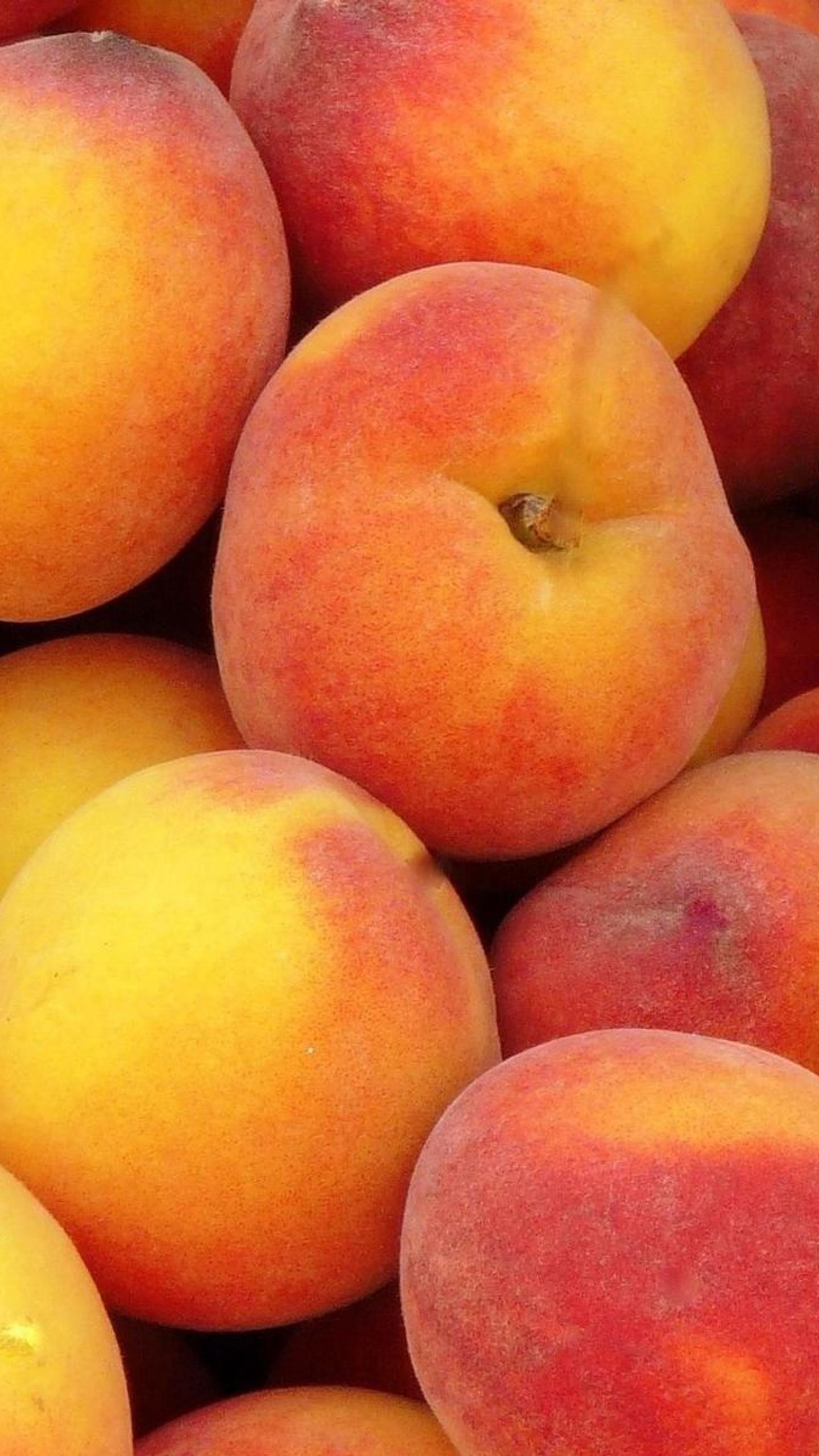 Photography Peaches Peach HD Wallpaper, Desktop Background, Mobile