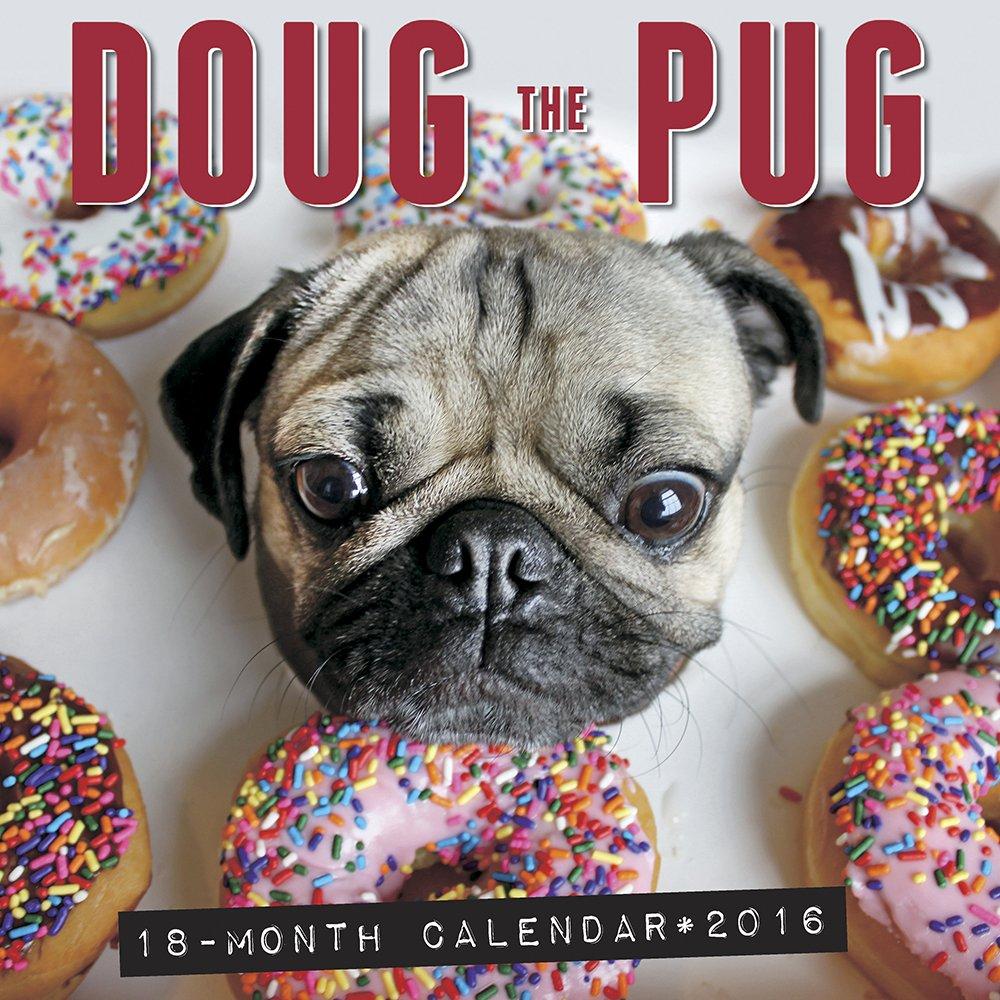 Doug the Pug 2016 Wall Calendar: Doug the Pug, Leslie Mosier