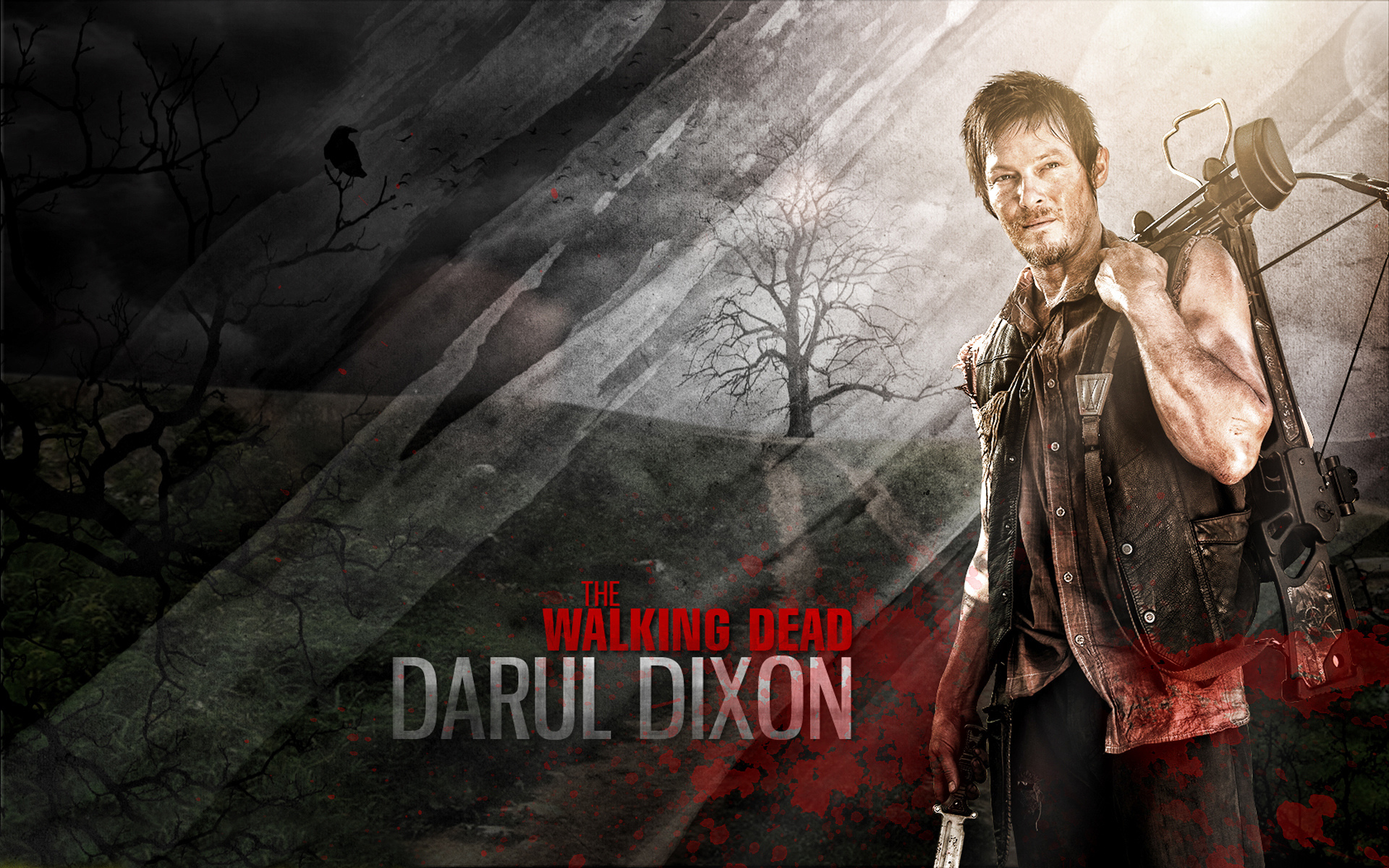 The walking dead darul dixon HD wallpaperx1200