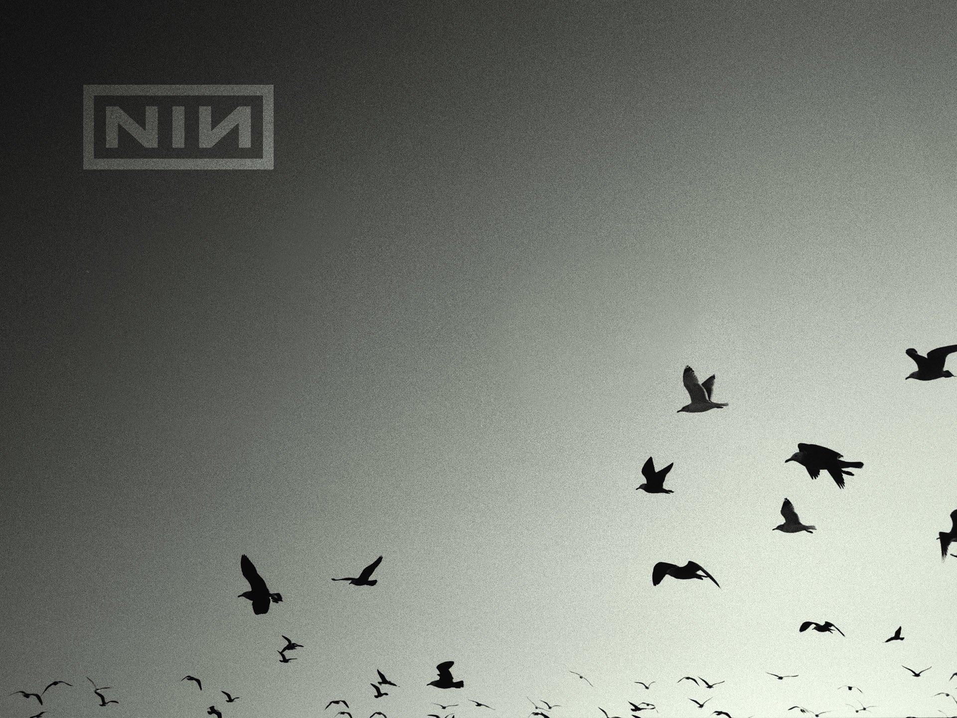 Nine Inch Nails HD Wallpaper and Background Image