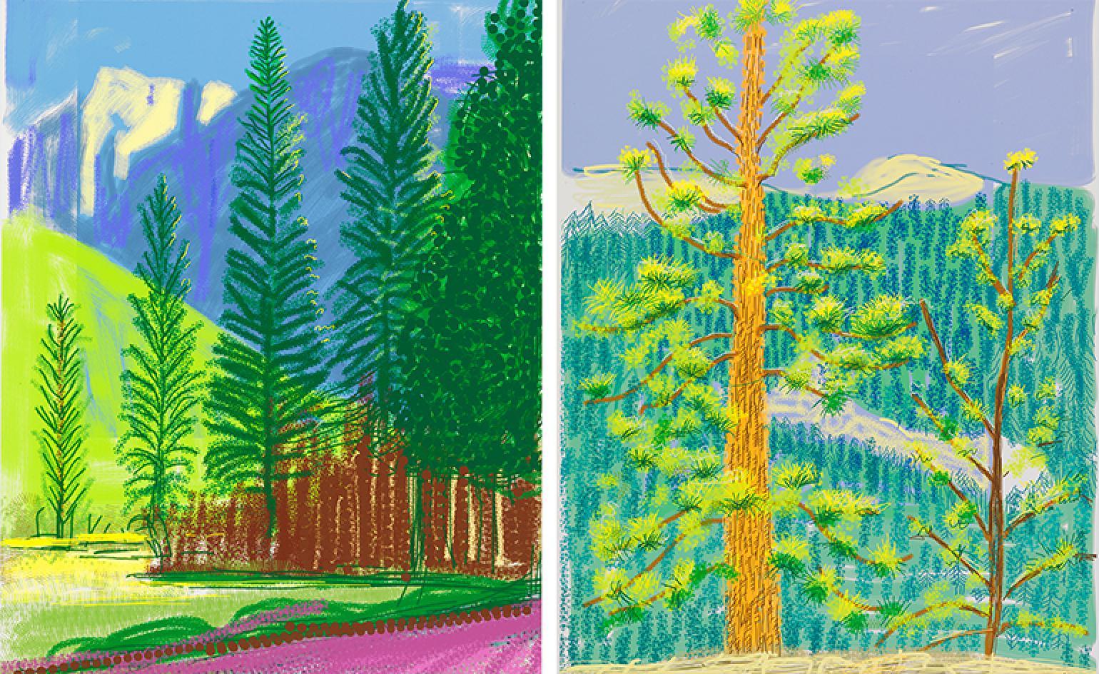David Hockney's 'The Yosemite Suite', at Pace Gallery NY. Wallpaper*