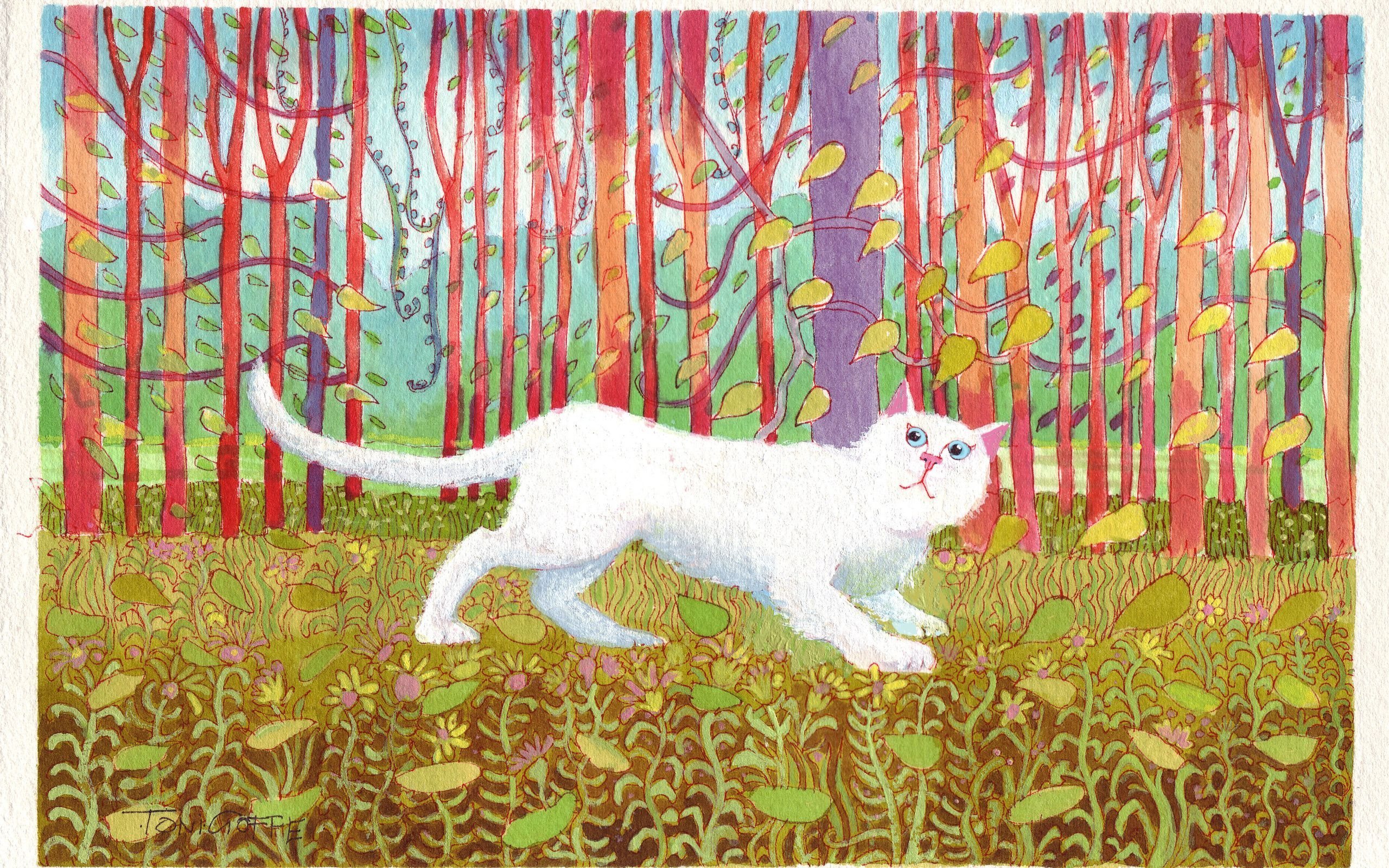 Download wallpaper david hockney, cat percy, british artist