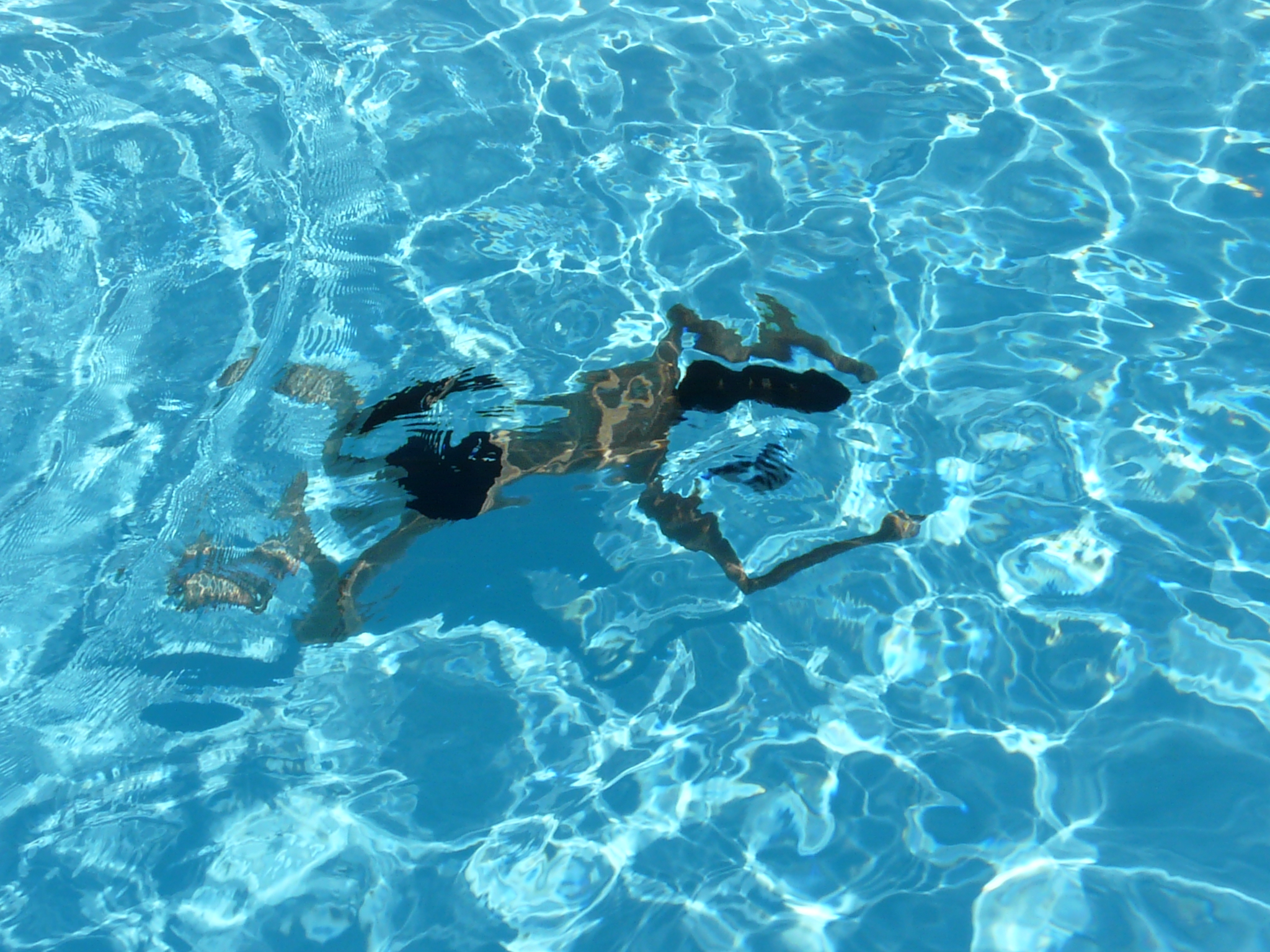 David Hockney Wallpapers - Wallpaper Cave