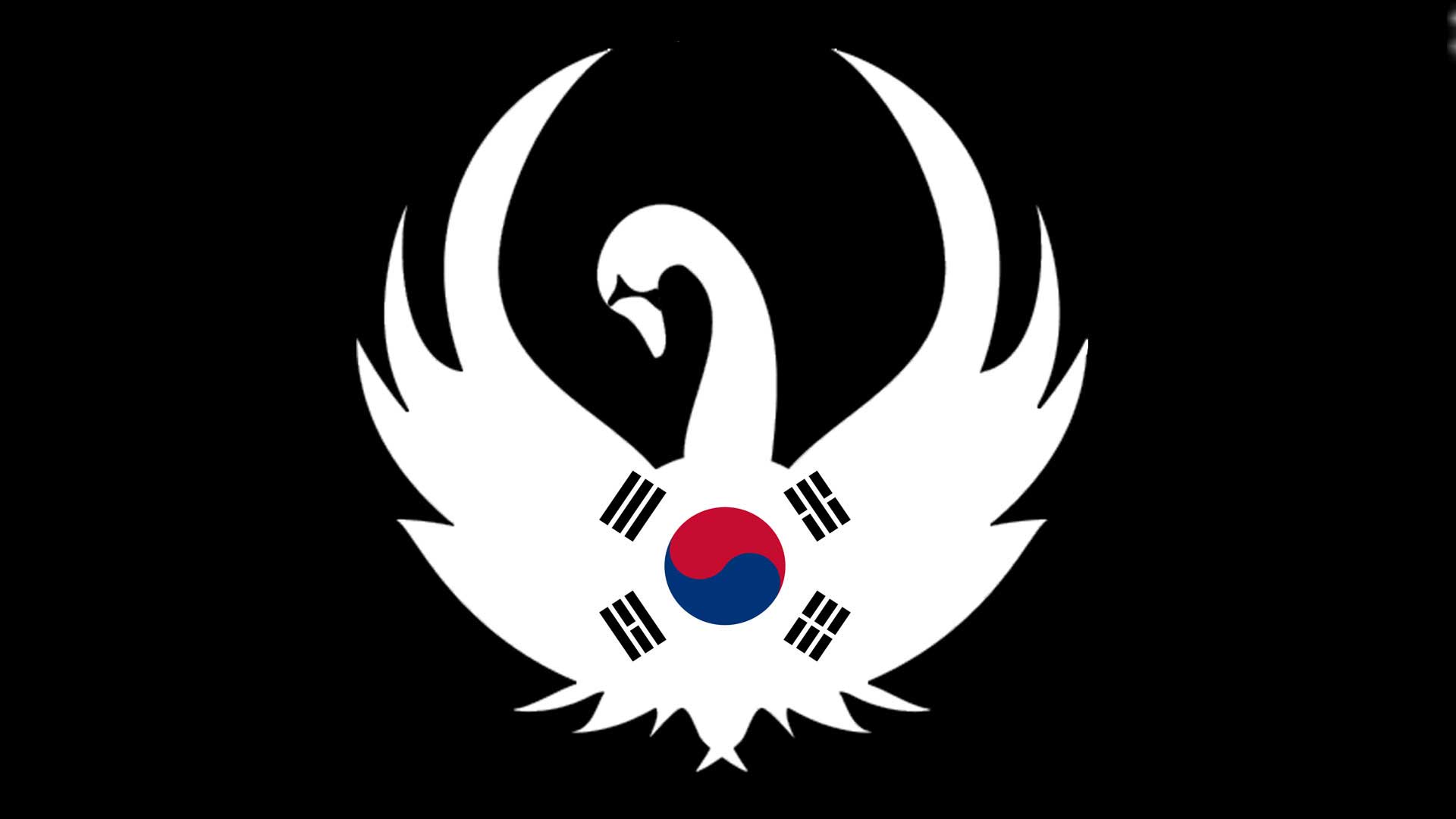 Cool Korean Flag Wallpaper - Insanity-Follows