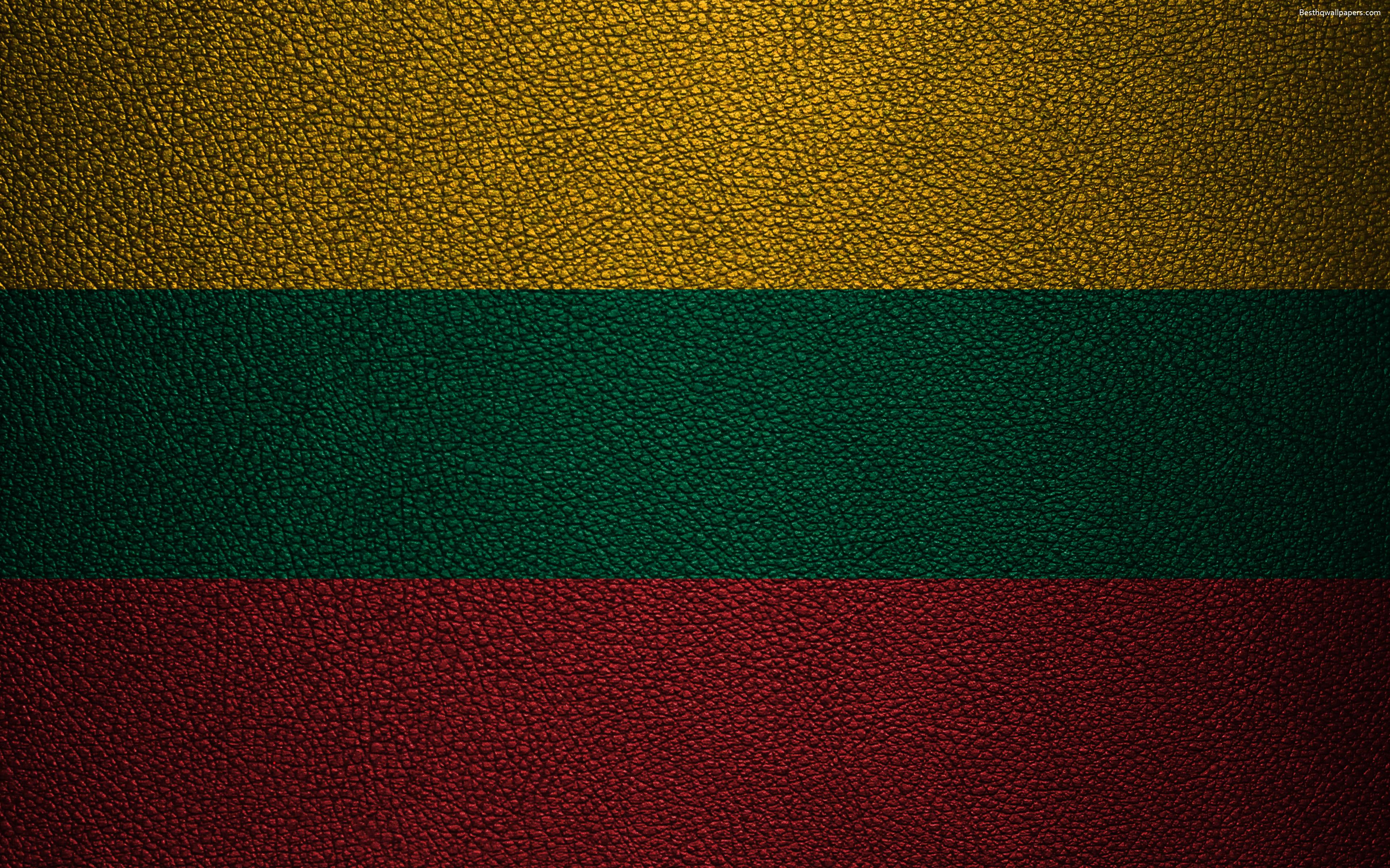 Download wallpaper Flag of Lithuania, 4k, leather texture