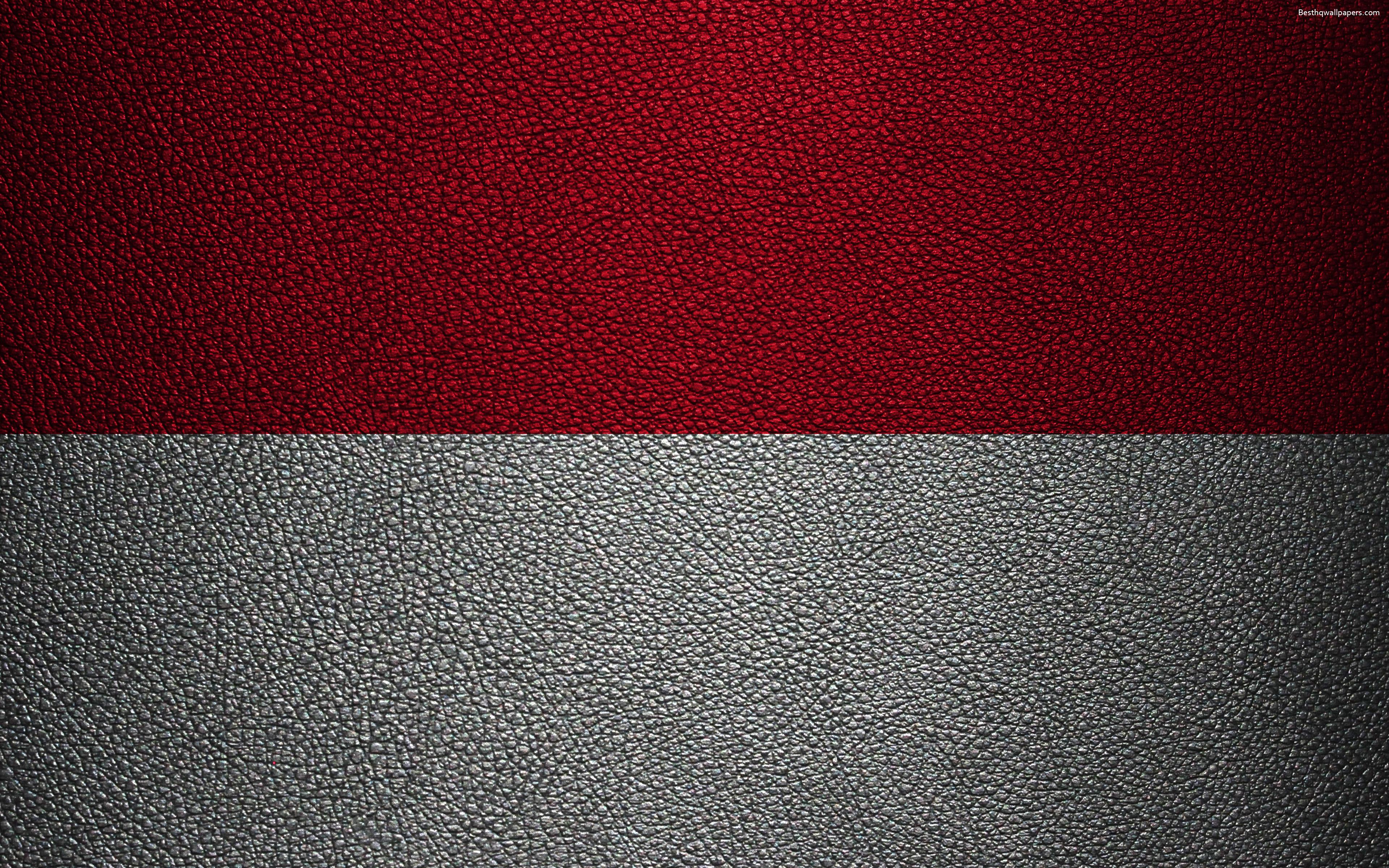 Download wallpaper Flag of Monaco, 4k, leather texture, Europe