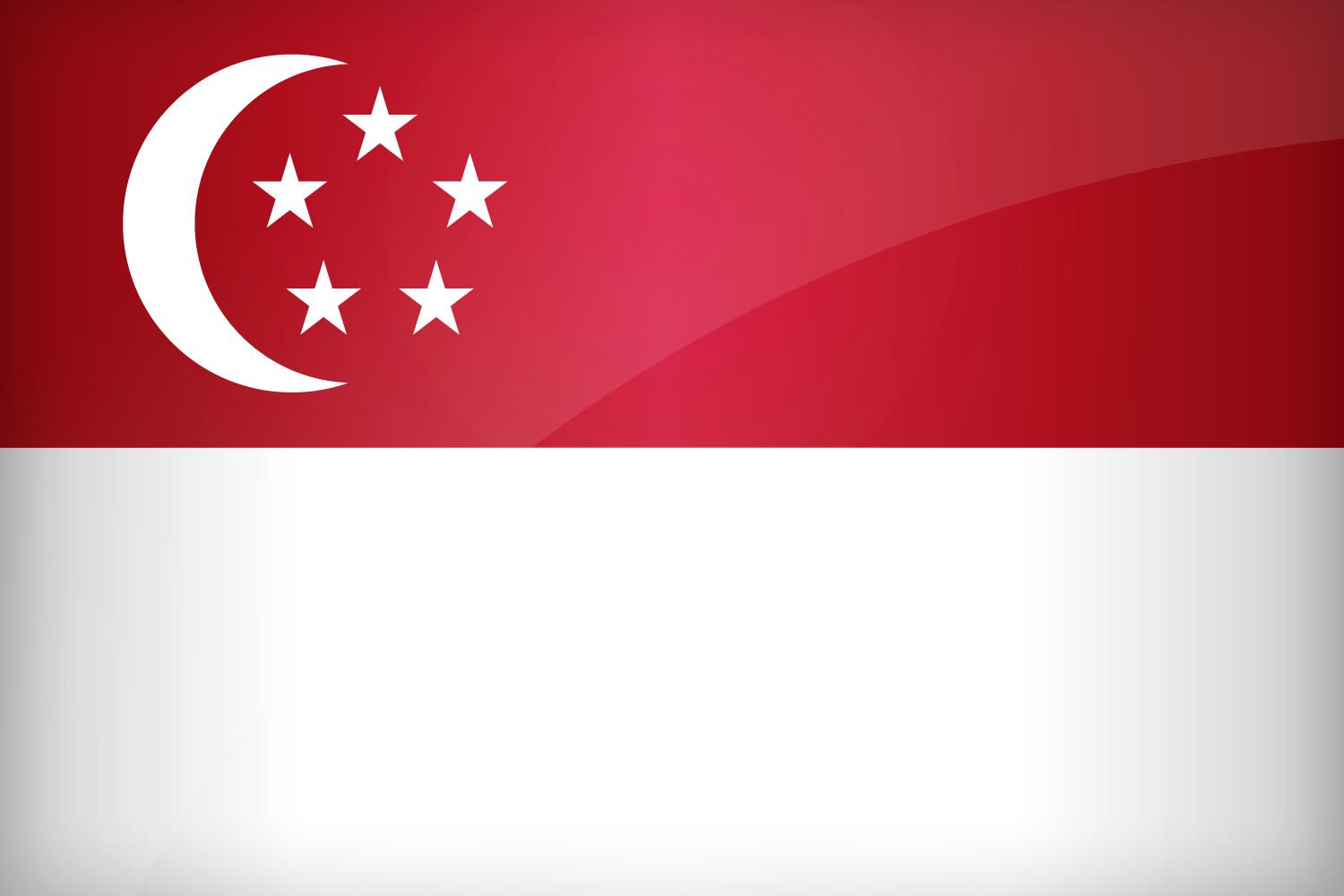 Flag of Singapore. Find the best design for Singaporean Flag