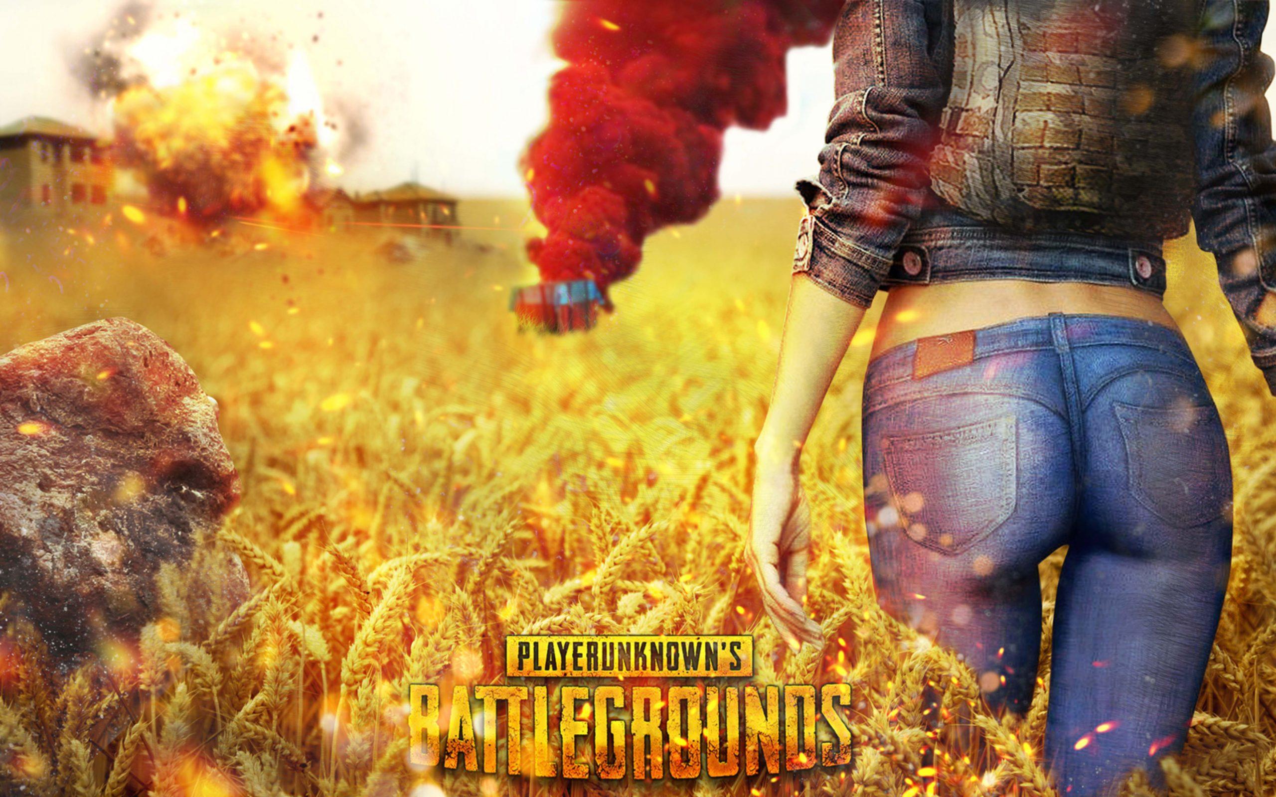 Playerunknowns Battlegrounds PUBG Cover 4K Wallpaper