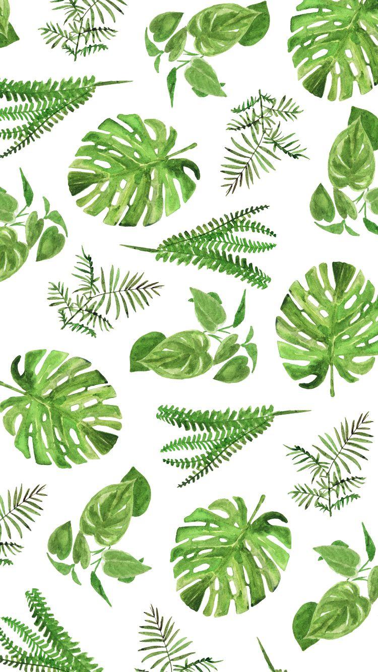 monstera, fern wallpaper background. iPhone Background in 2019