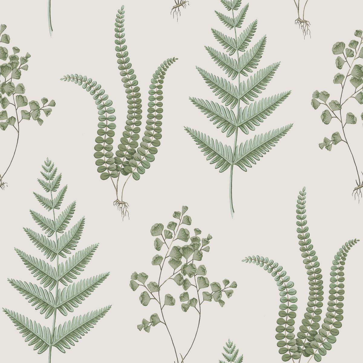 Fern wallpaper. Flowered and botanical wallpaper