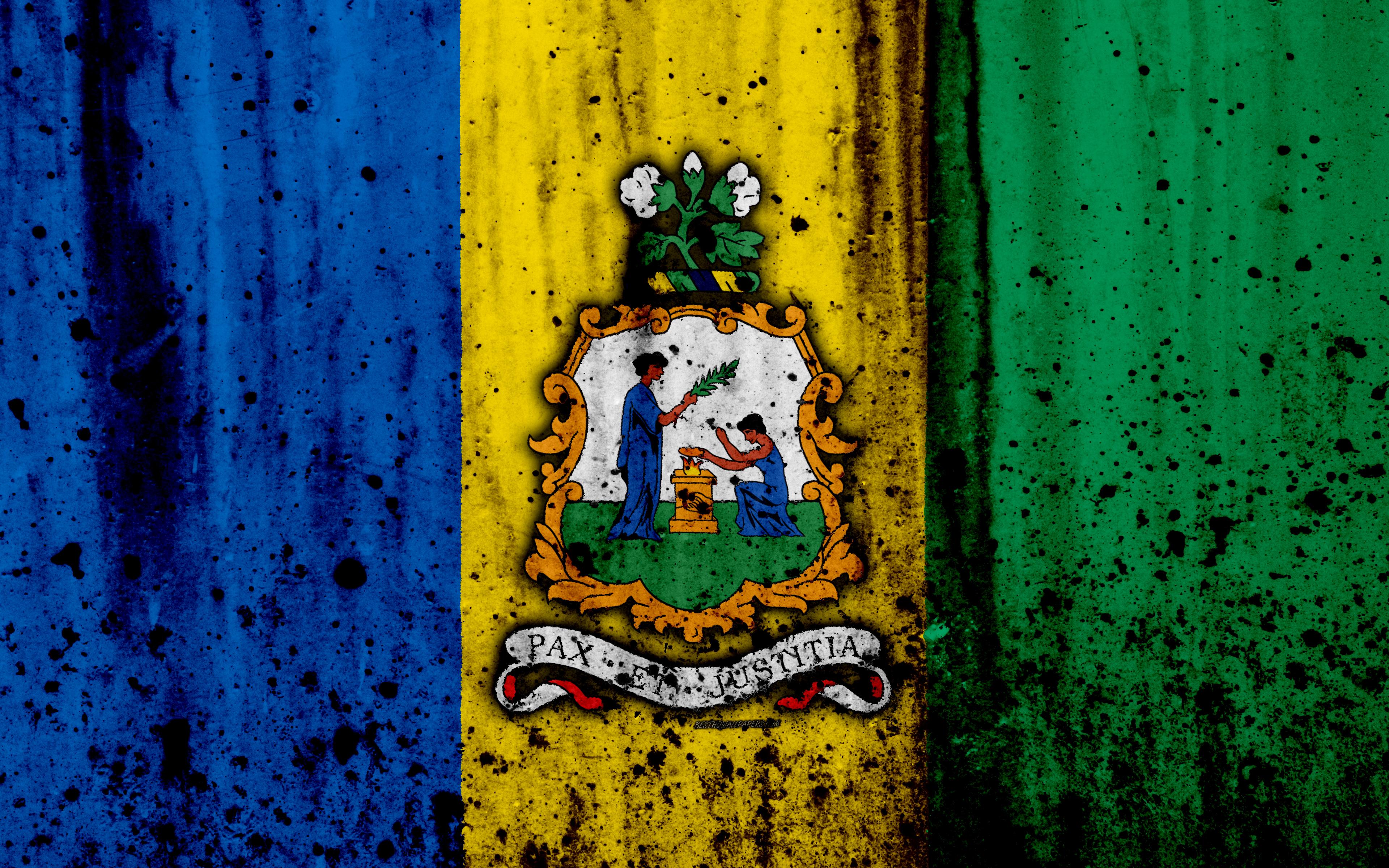 Download wallpaper Saint Vincent and the Grenadines flag, 4k