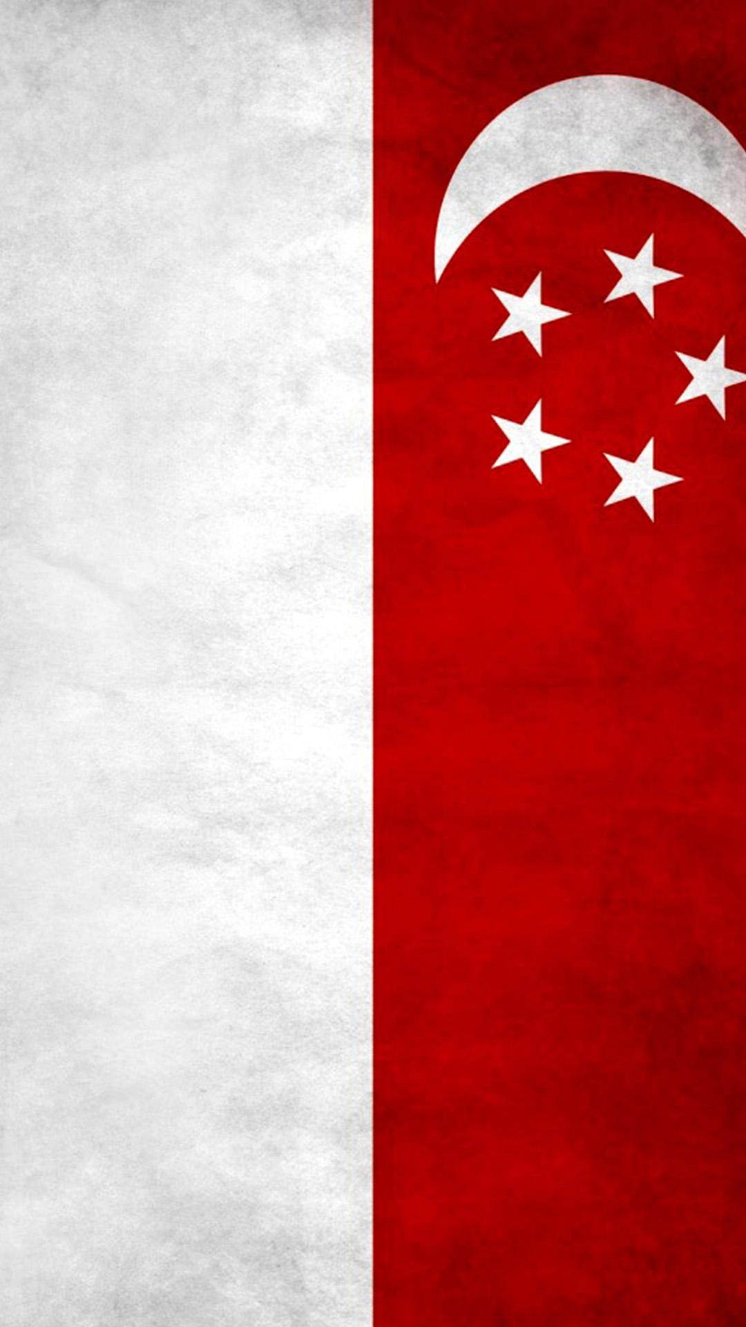 флаг сингапура картинки