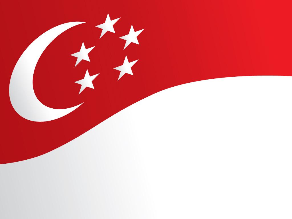 Singapore Flag Picture PictureandPhotos