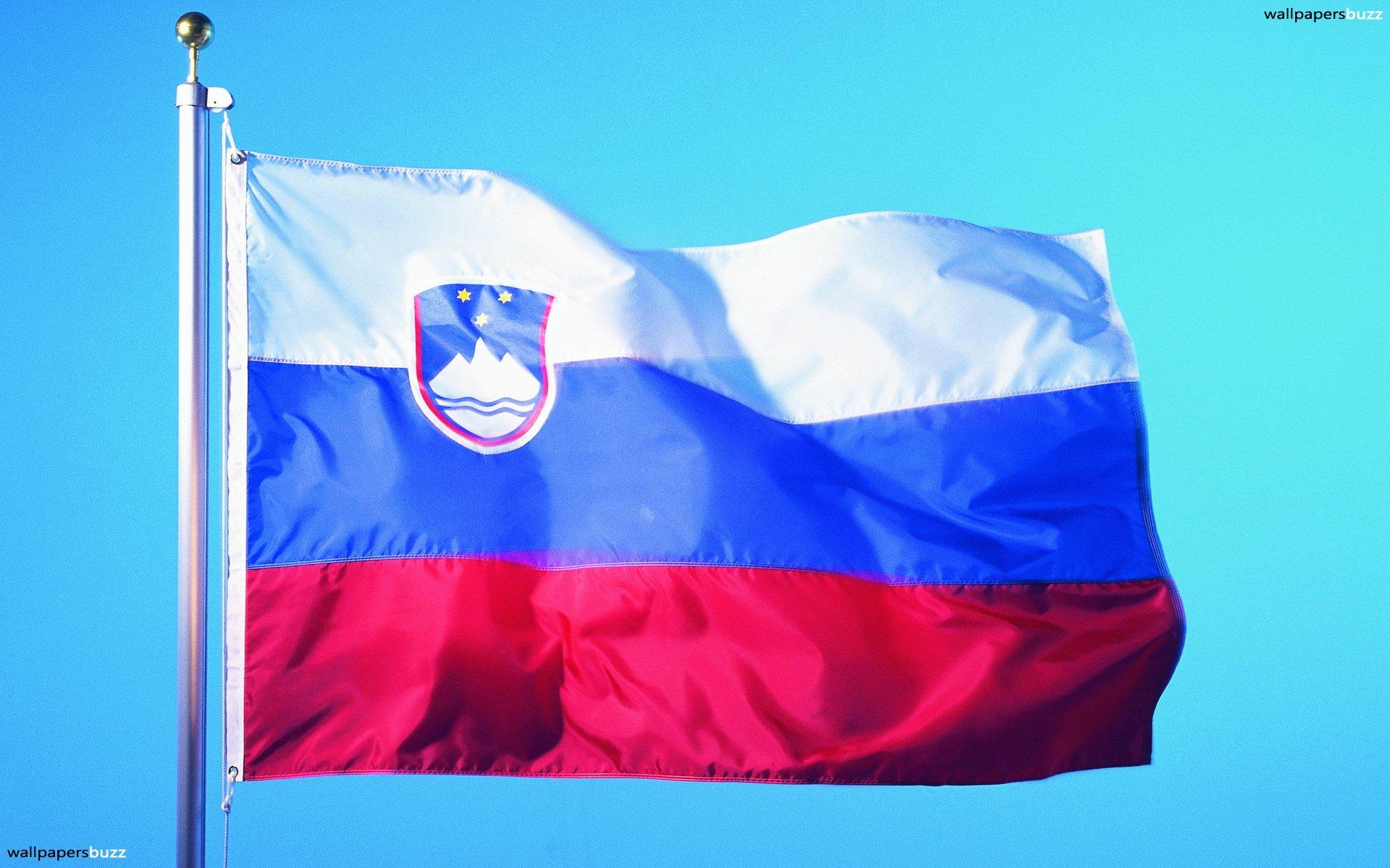 The flag of Slovenia HD Wallpaper