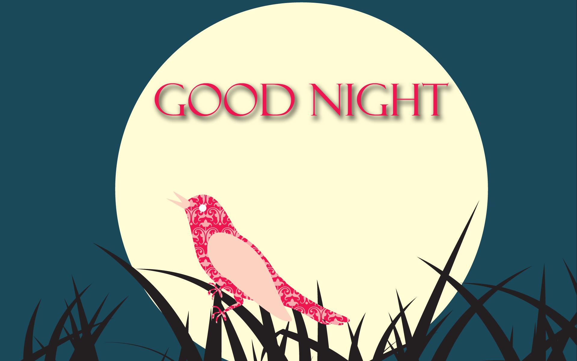 Good Night Wallpaper, Picture, Image