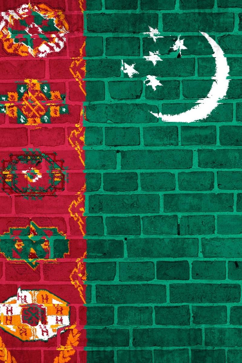 Download wallpaper 800x1200 turkmenistan, flag, wall, texture iphone