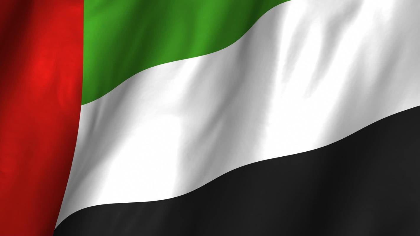 United Arab Emirates Flag for Android