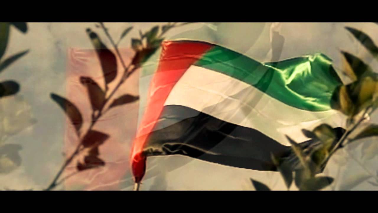 UAE National Anthem Motion Flag