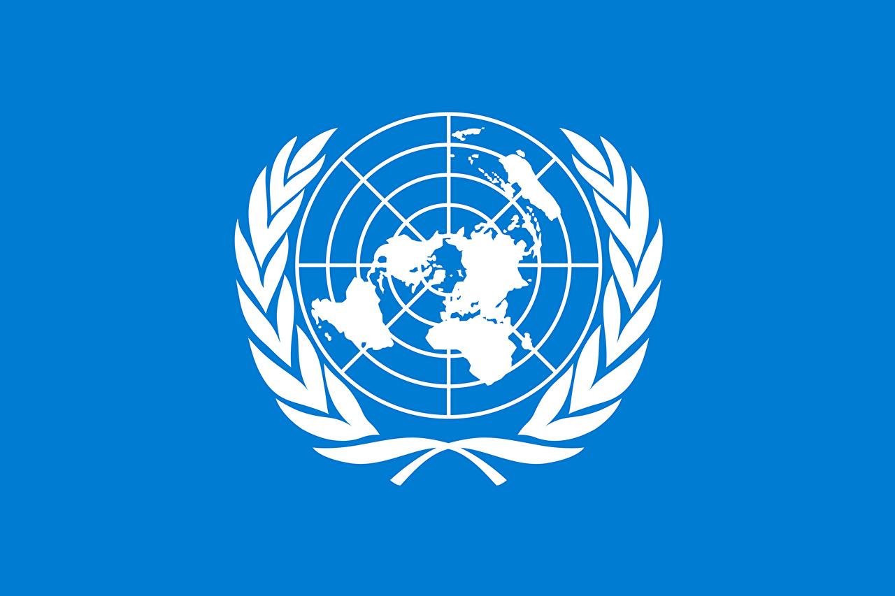 Picture United Nations Flag