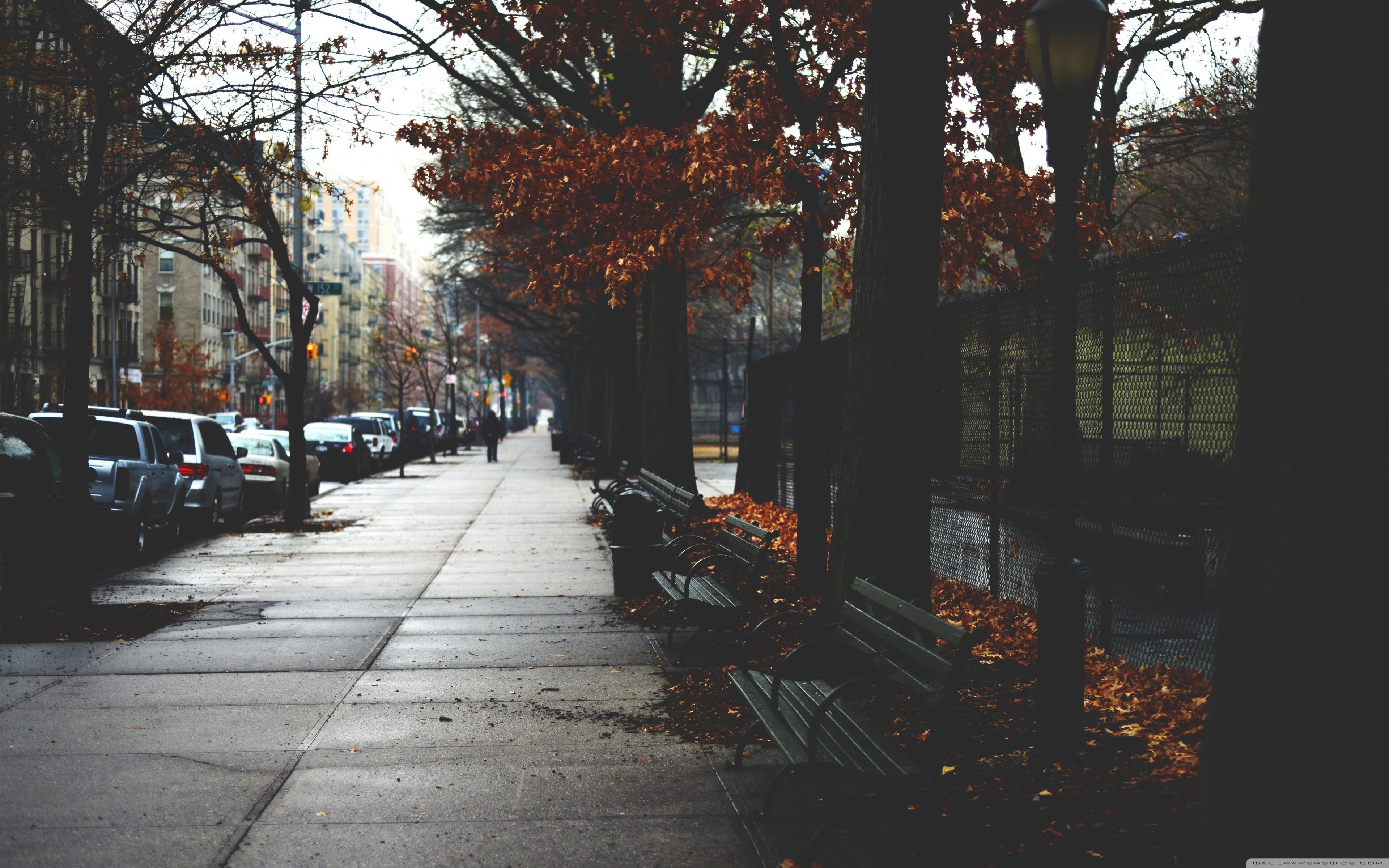 Cold Autumn Day In New York City ❤ 4K HD Desktop Wallpaper for 4K