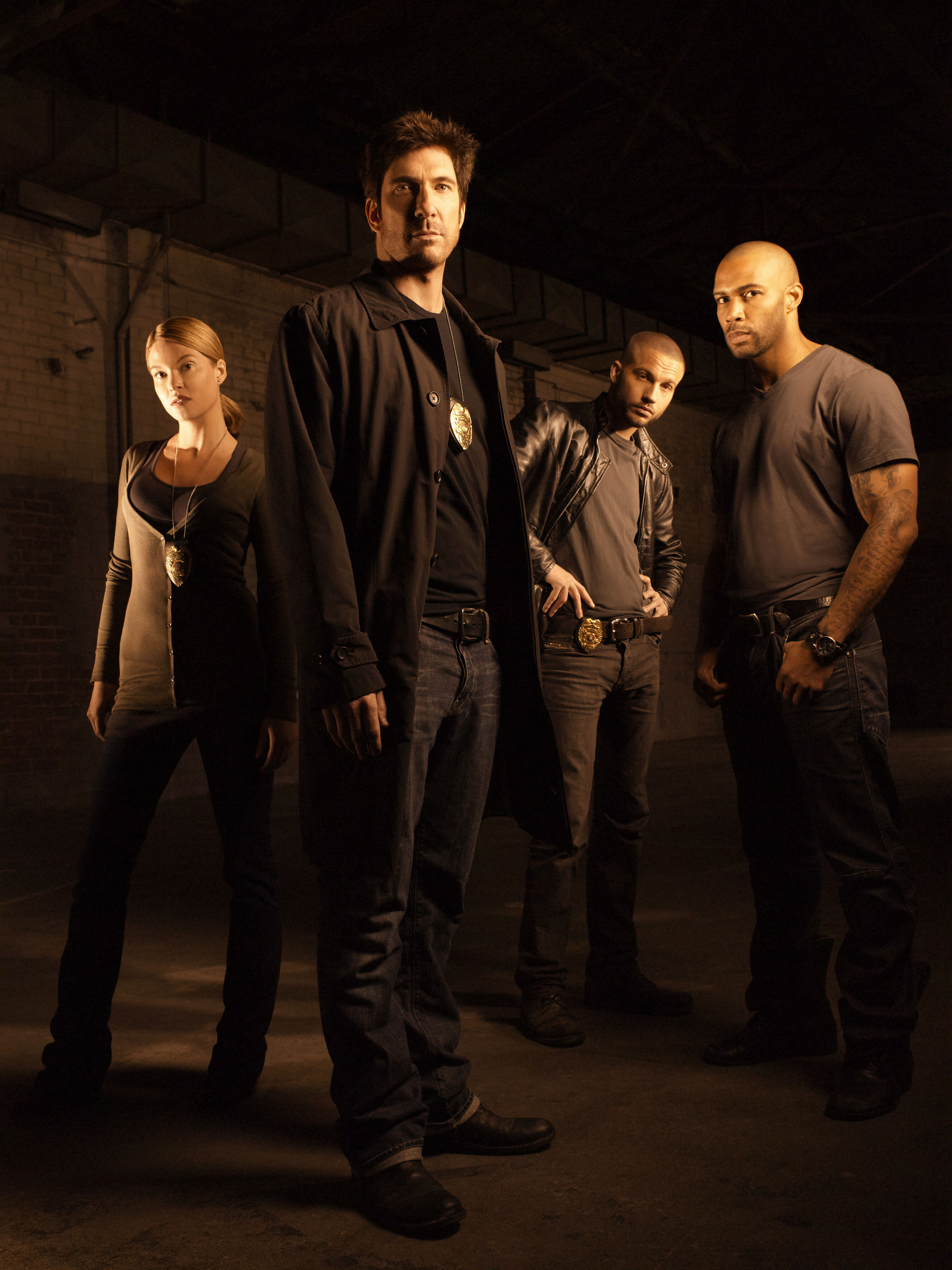 Dark Blue TV Series McDermott Hardwick Marshall Green Aycox Helfer