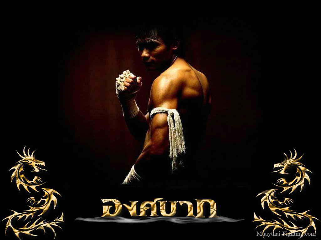 Muay Thai Wallpaper styles of Thai Boxing Wallpaper