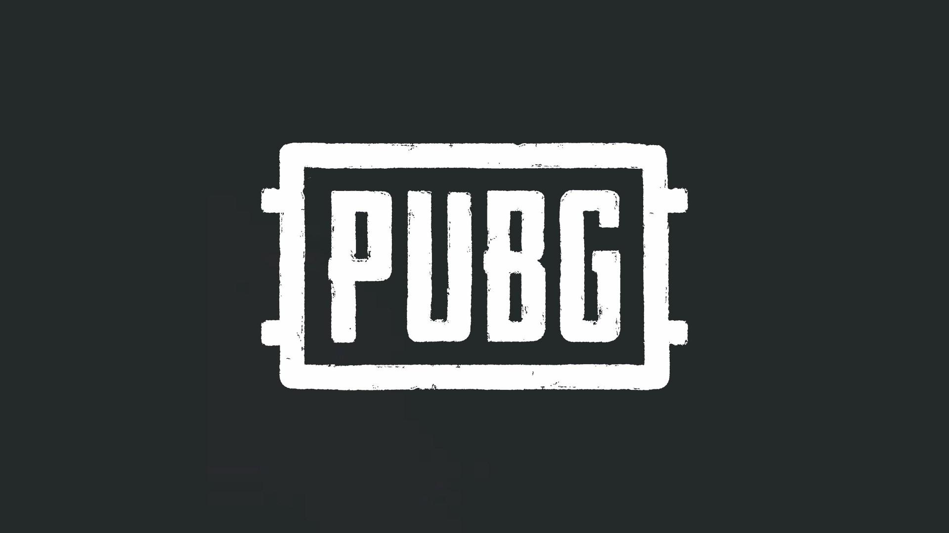 PUBG player unknowplayer battle game wallpaper High Definition
