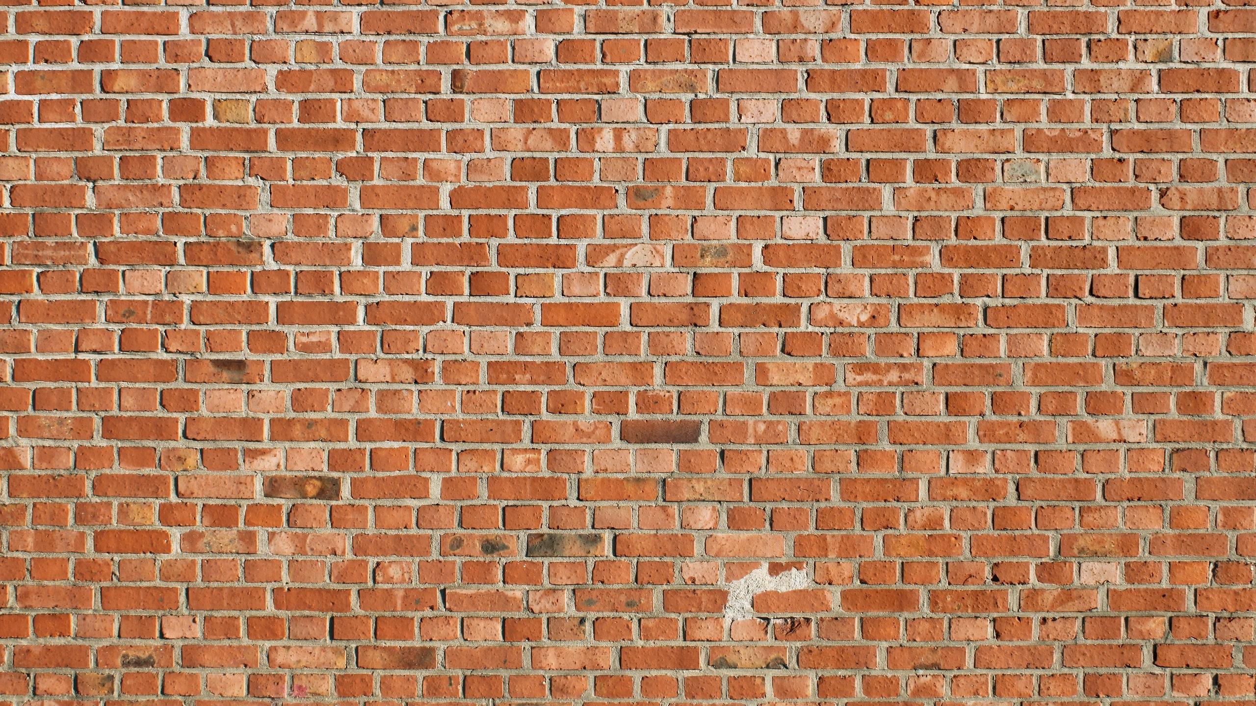 Download wallpaper 2560x1440 texture, brick, wall widescreen 16:9 HD