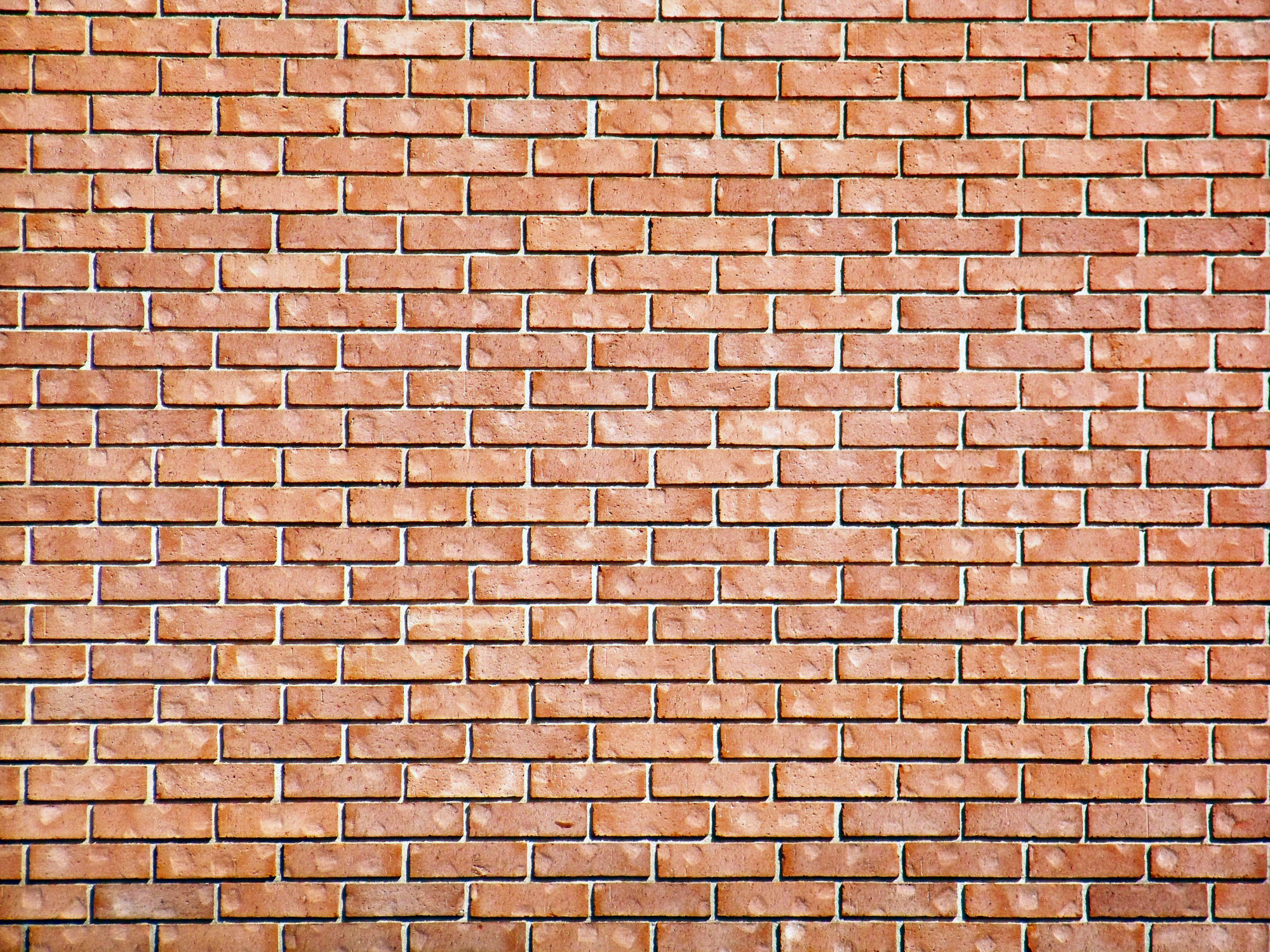 MTL. MontREALfood. Random Wallpaper Brick Wall Background