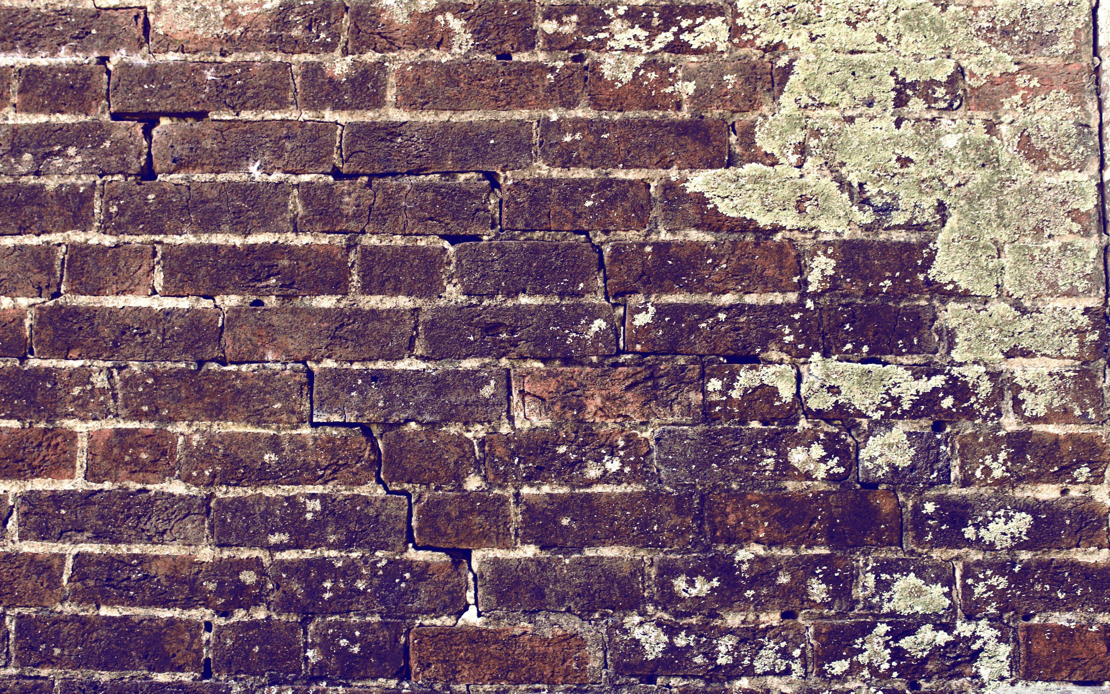 Brick Wall ❤ 4K HD Desktop Wallpaper for 4K Ultra HD TV • Dual