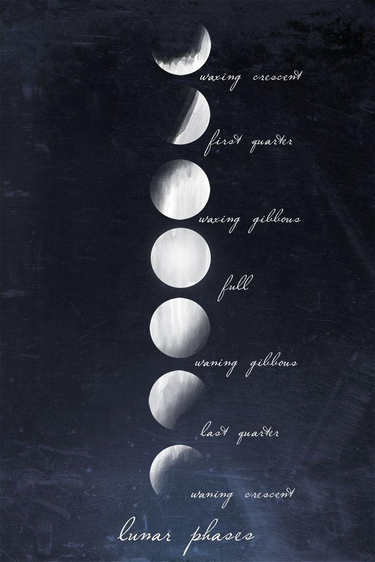 736x1104px Phases of the Moon Wallpaper