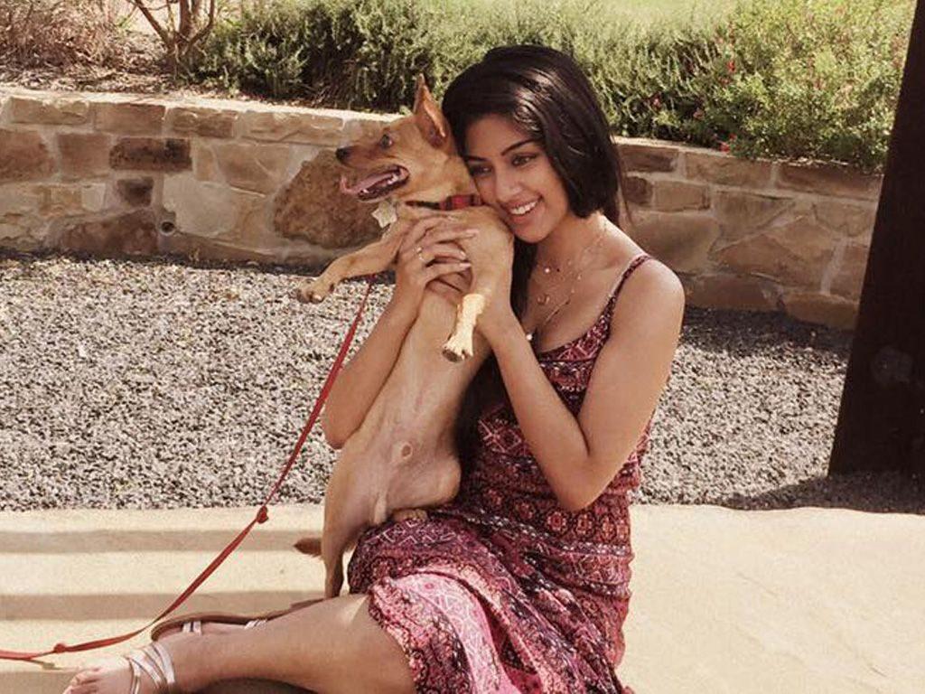 Anu Emmanuel Top Best Picture And Latest Wallpaper