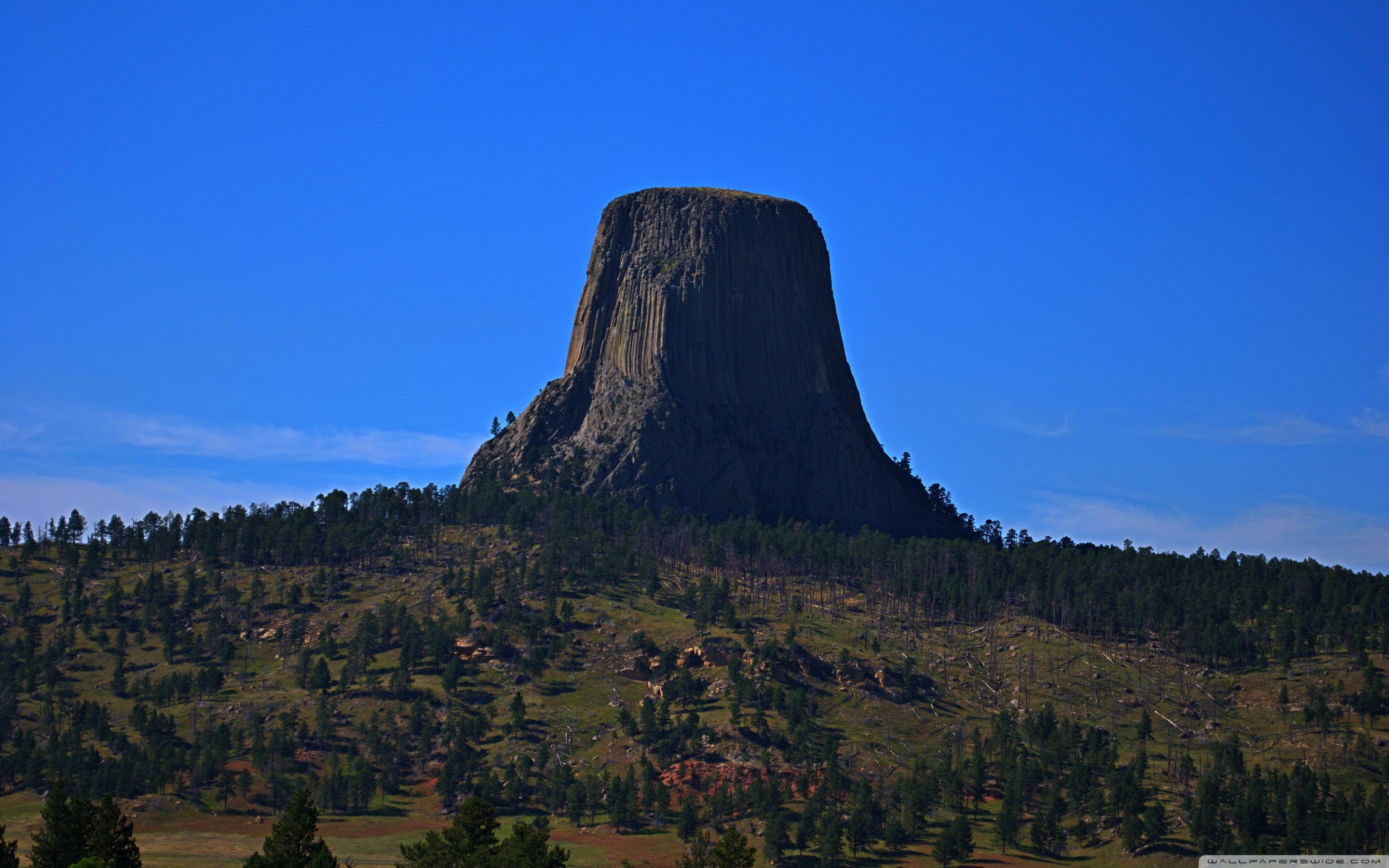 Devils Tower from a Distance ❤ 4K HD Desktop Wallpaper for 4K Ultra