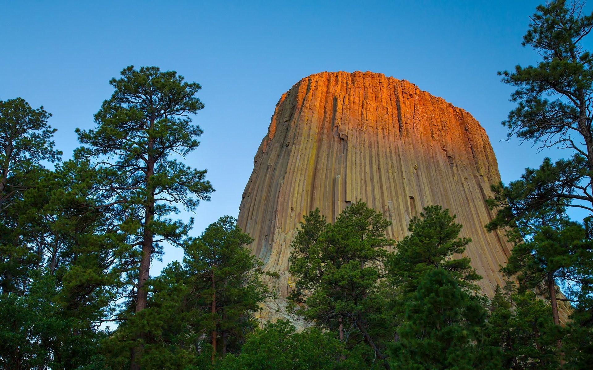 Devils tower national monument, Wyoming, Mountain, Trees, Height