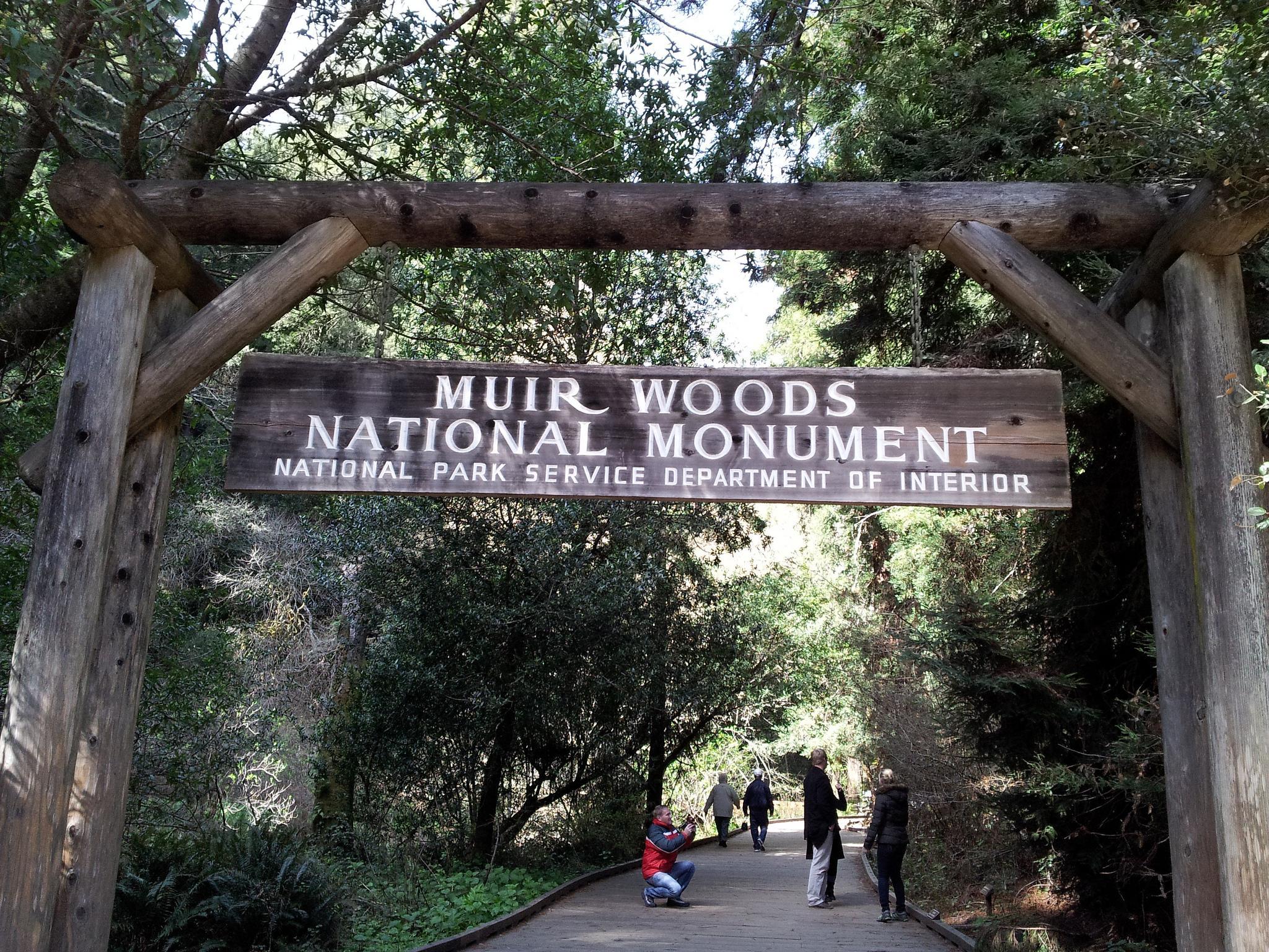 Enter tranquility. Muir Woods National Monument, CA. en.wi