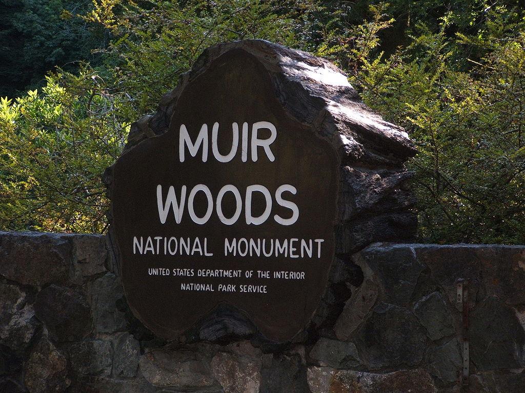 Muir Woods • Sausalito • Tiburon