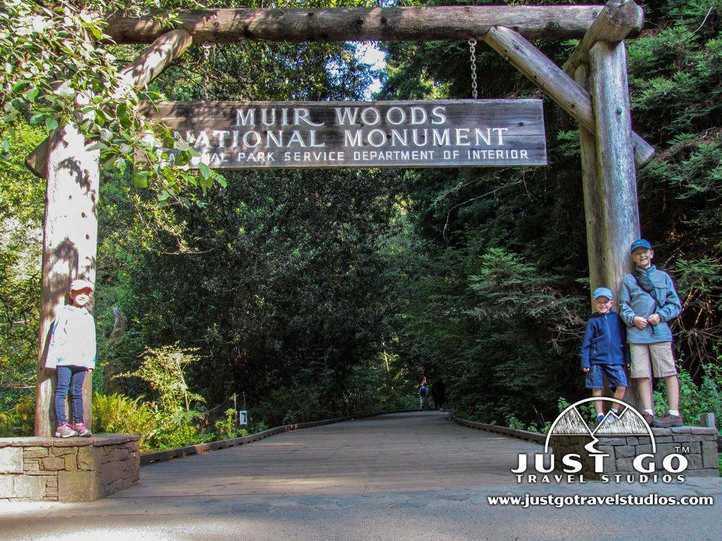 Just Go to Muir Woods National Monument Morning of Hiking