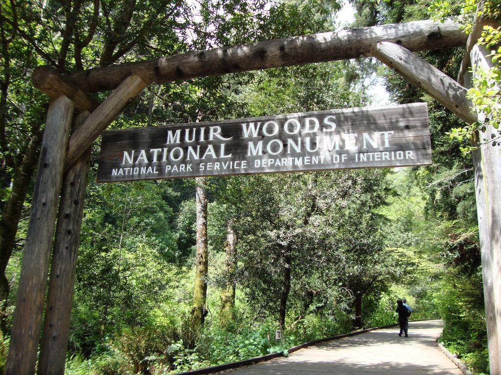 Muir Woods: A Guide To The Magnificent Redwood Forest