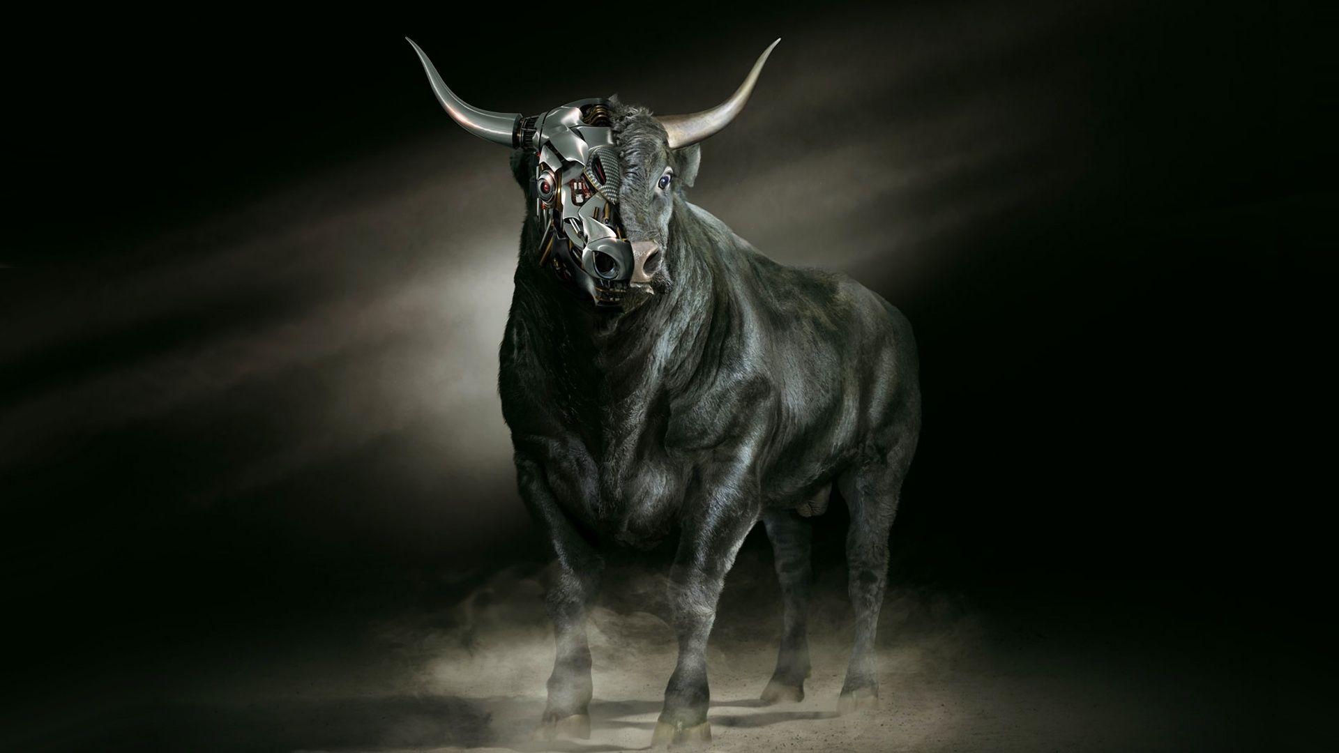 Taurus Desktop Wallpaper 1920x1080. Proud Taurus. Bull