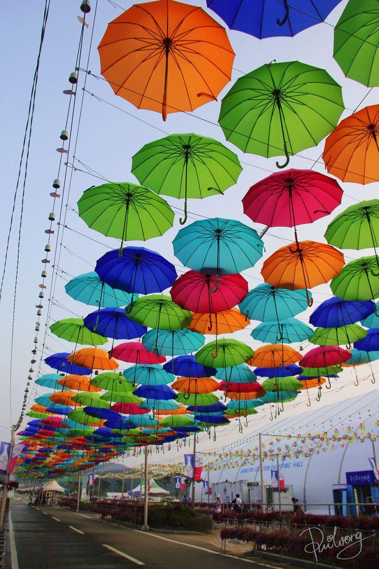 Umbrella's stuck in the sky. Fashion: Parasols, Umbrellas & Walking