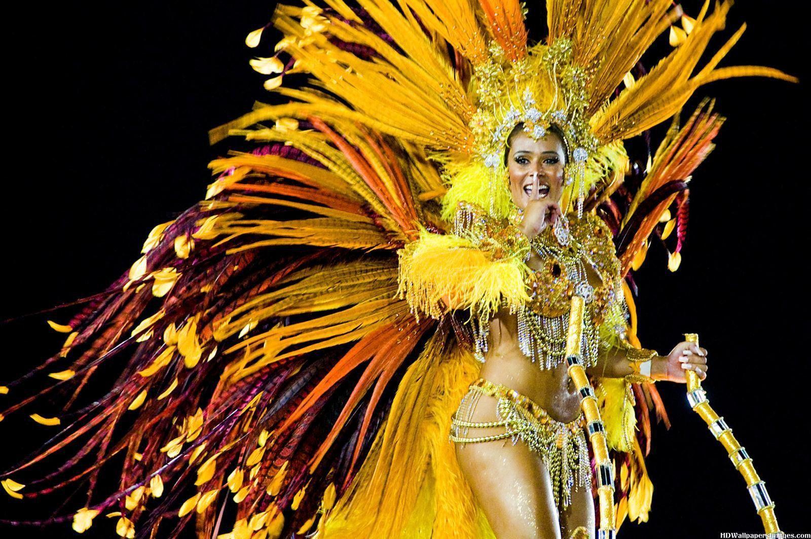 Carnaval Rio de Janeiro 2014. Carnivals. Rio carnival