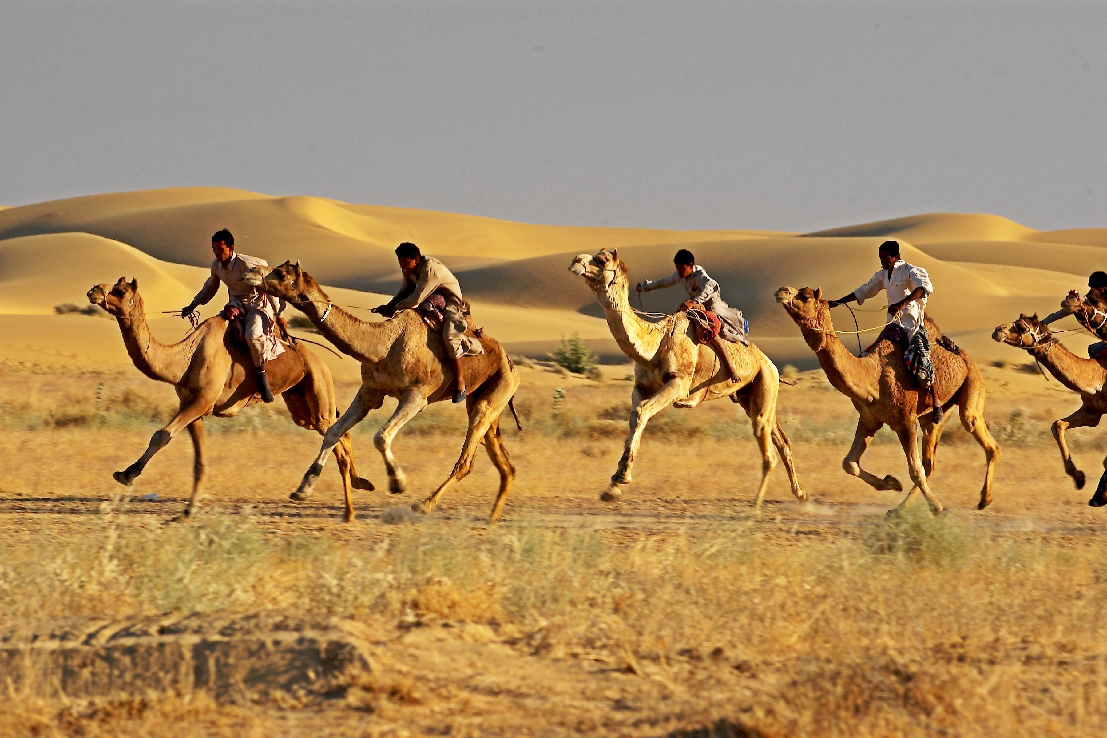 Golden Triangle Tour with Desert Festival Jaisalmer, Indian Golden