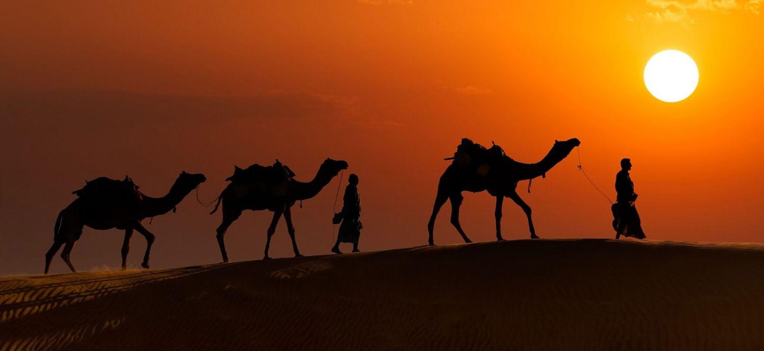 Jaisalmer Camel Safari: A Travelers Guide Roaming The Roads