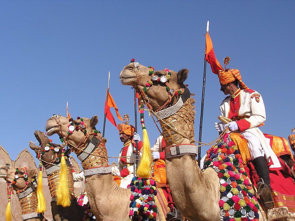 Desert Festival of Jaisalmer. Festivals. Desert festival