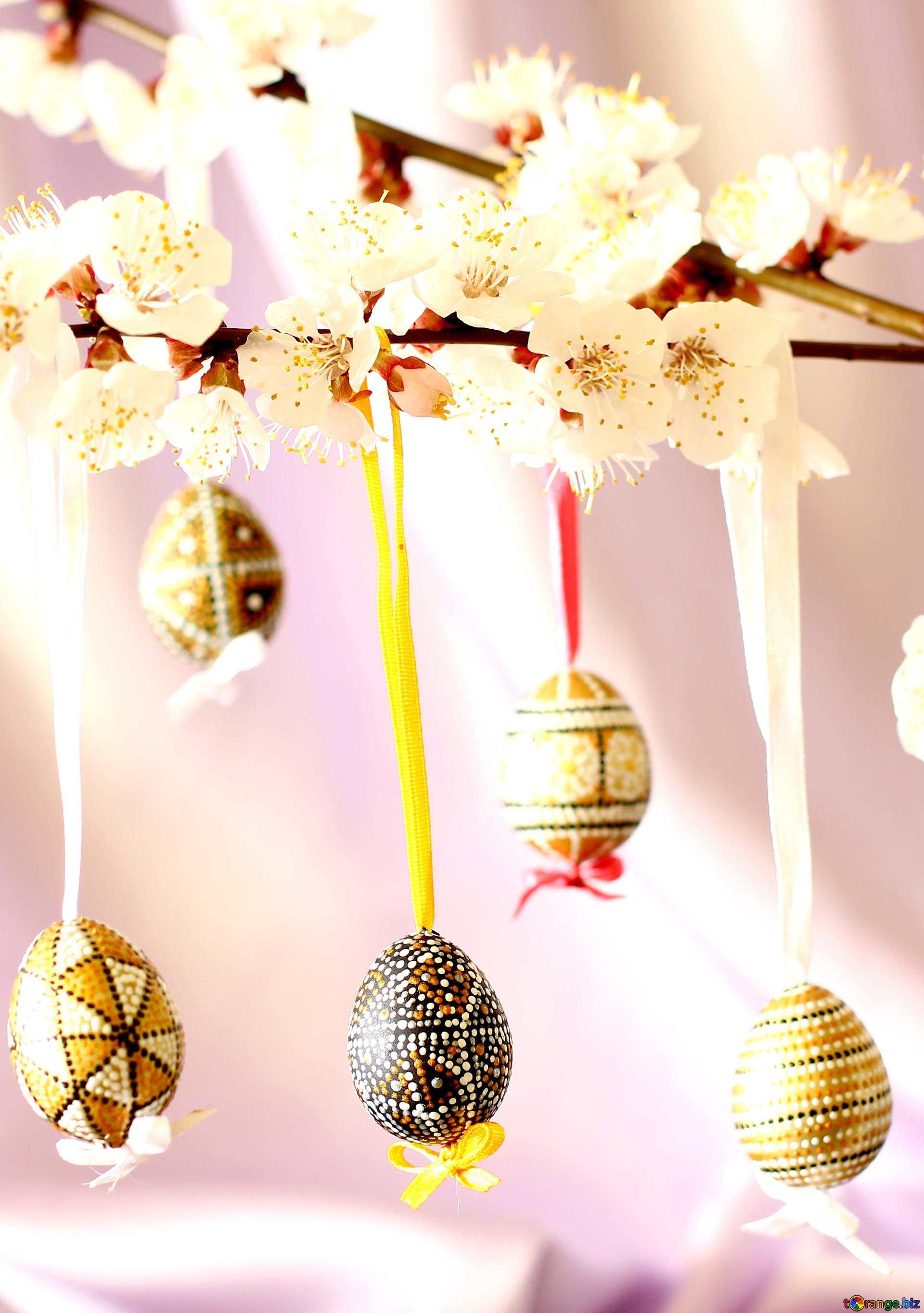 Easter tree easter card egg № 29829