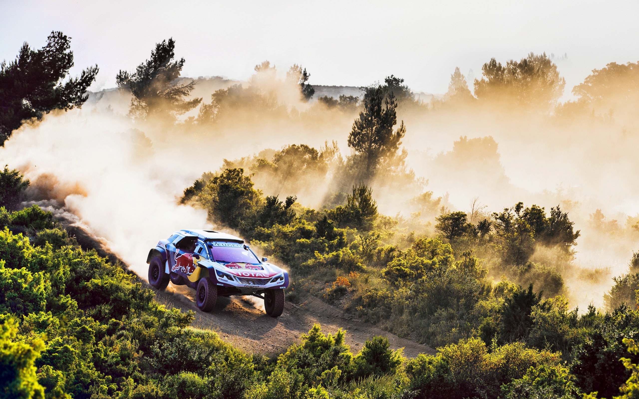 Download wallpaper Peugeot Dakar Rally Dune buggy, race